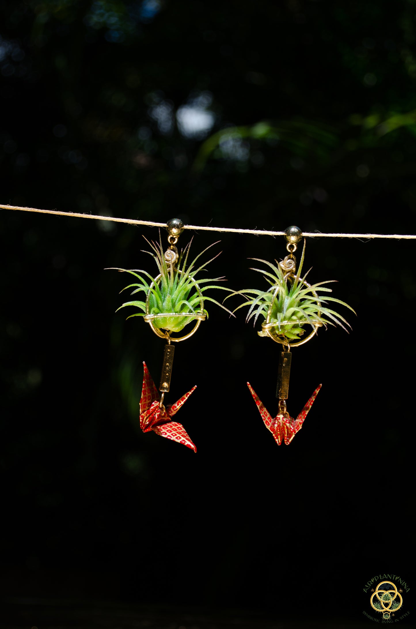 Living Plant Origami Crane Earrings