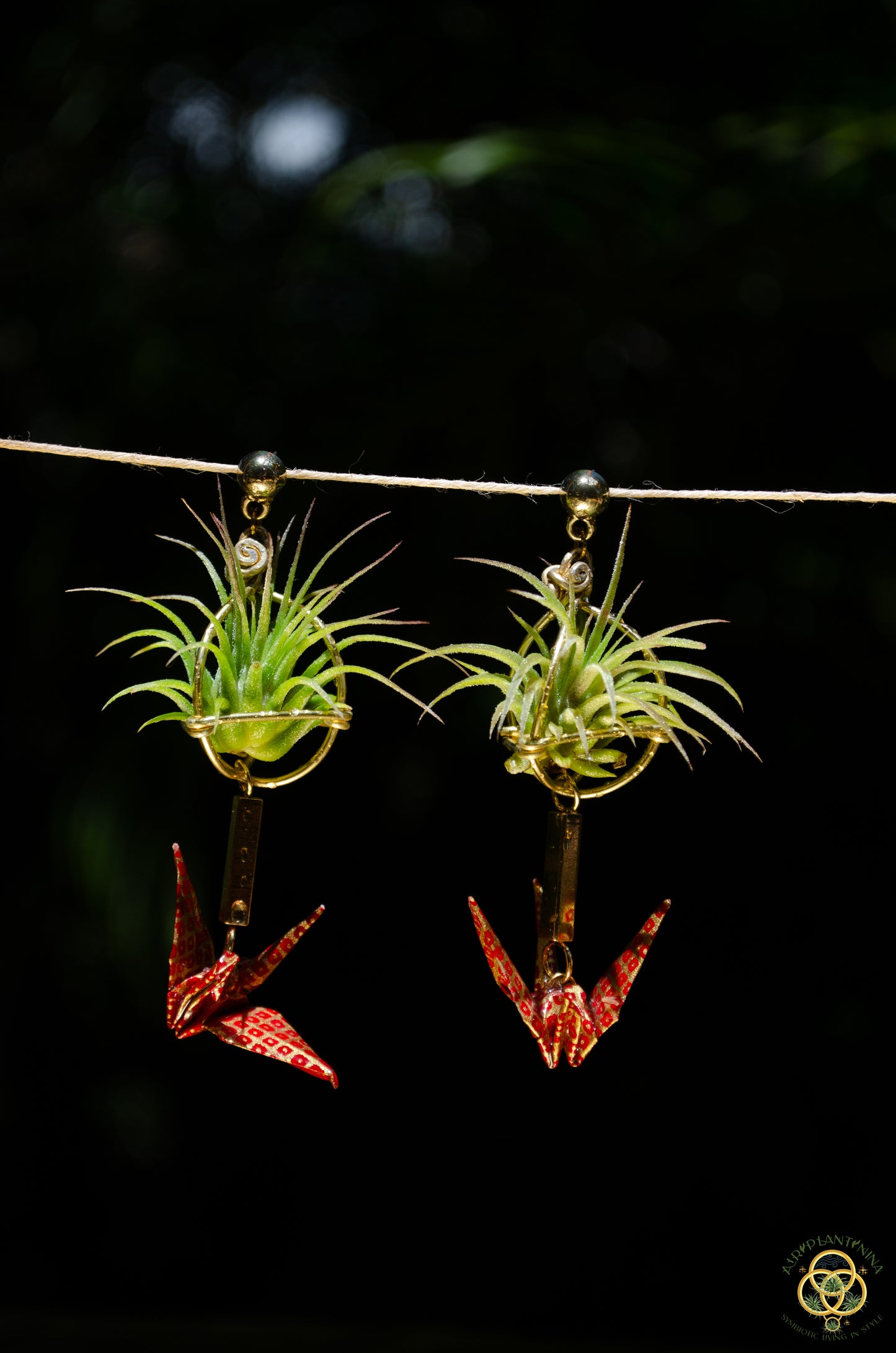 Living Plant Origami Crane Earrings