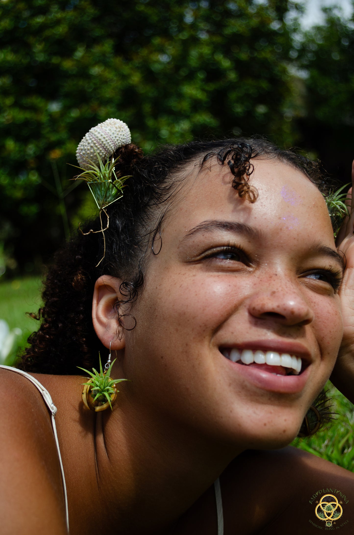 Lasercut Wooden Air Plant Orb Earrings ~ Japanese Tsugite Technique