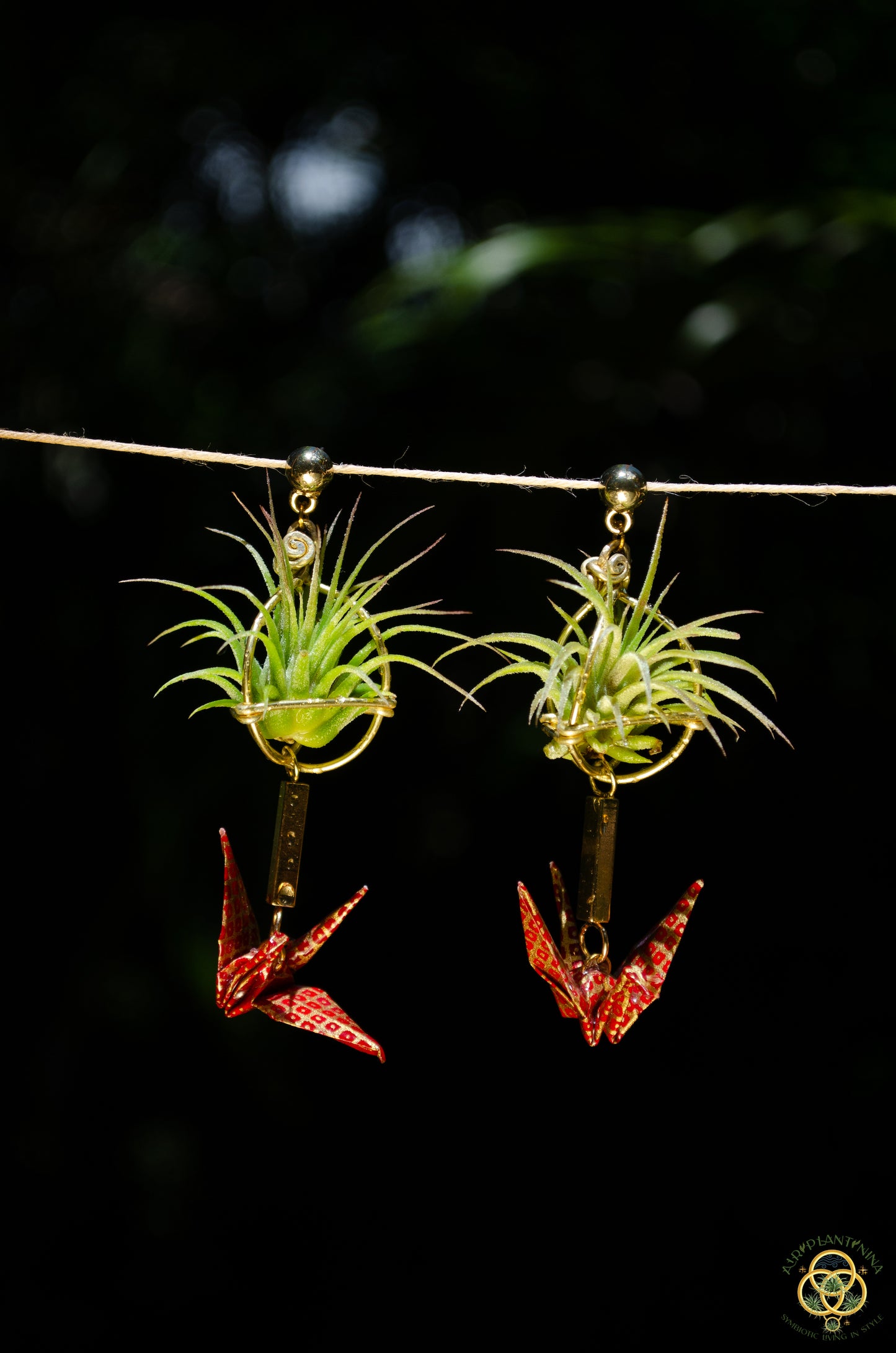 Living Plant Origami Crane Earrings