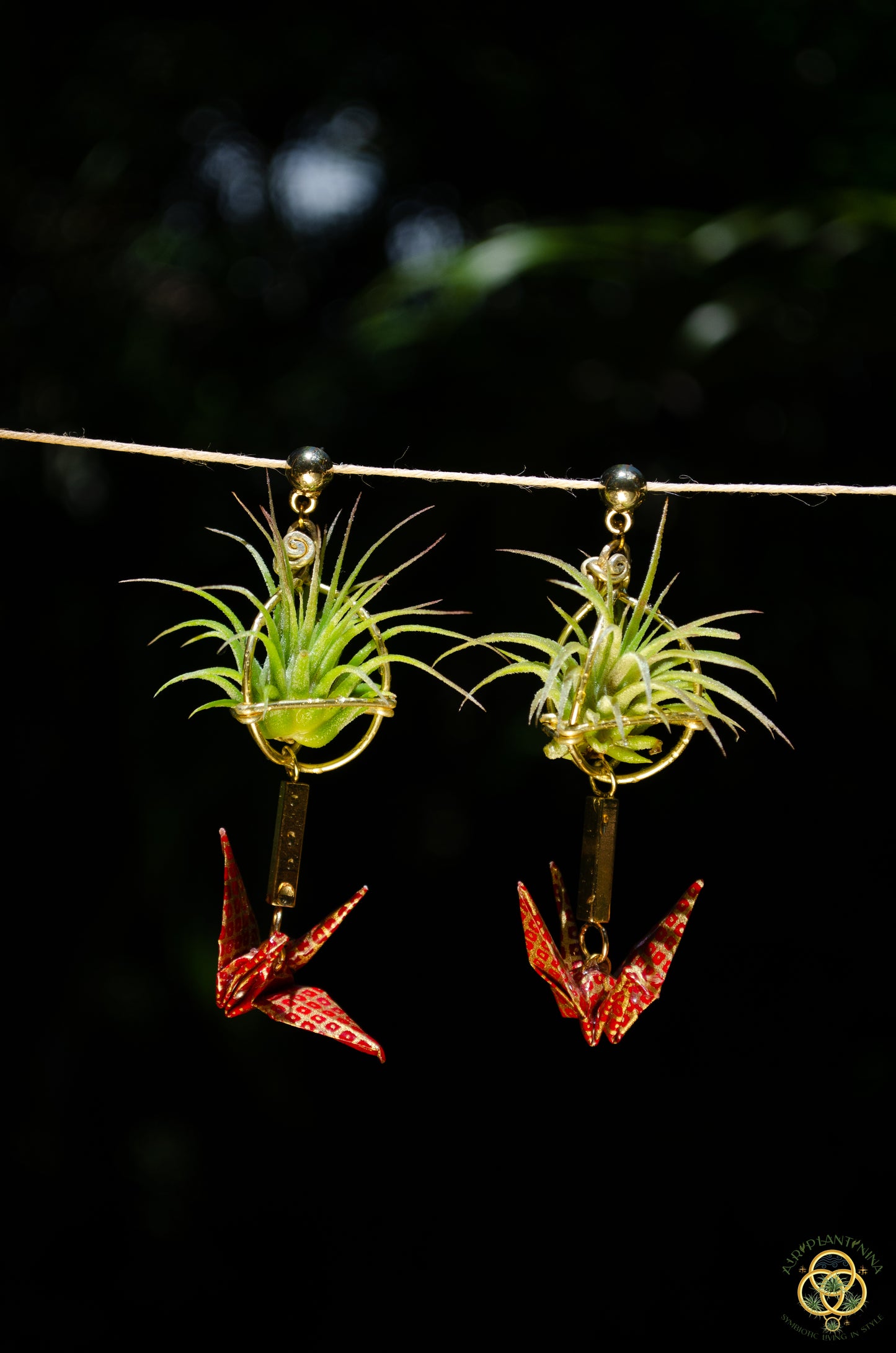 Living Plant Origami Crane Earrings