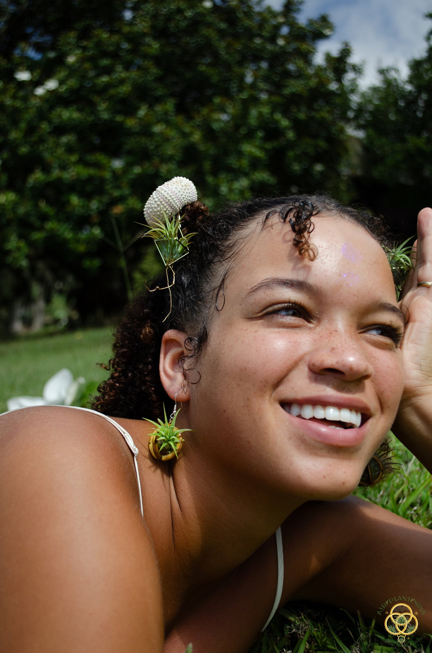 Lasercut Wooden Air Plant Orb Earrings ~ Japanese Tsugite Technique