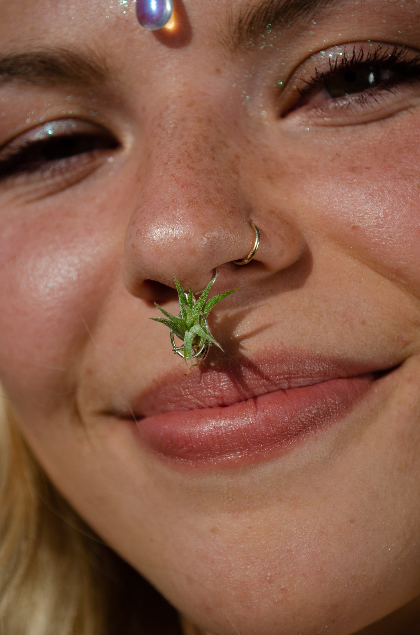 Air Plant Septum Nose Ring Cuff ~ Living Jewelry