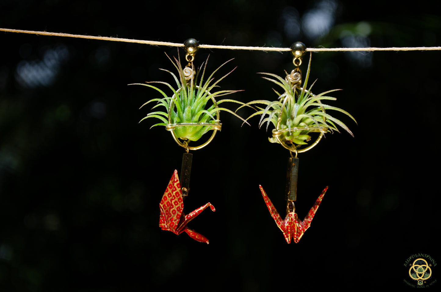 Living Plant Origami Crane Earrings