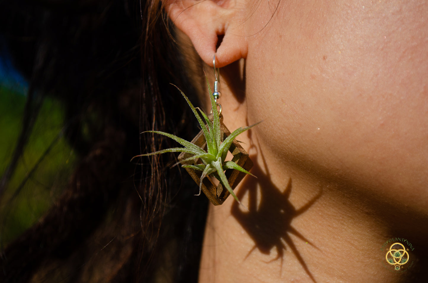 Lasercut Wooden Octahedron Air Plant Earrings ~ Japanese Tsugite Technique