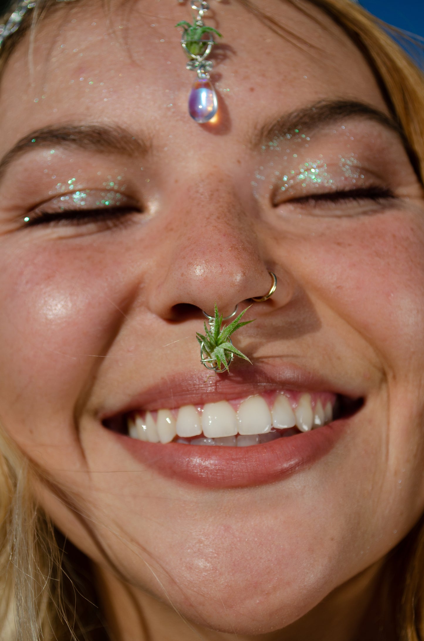 Air Plant Septum Nose Ring Cuff ~ Living Jewelry