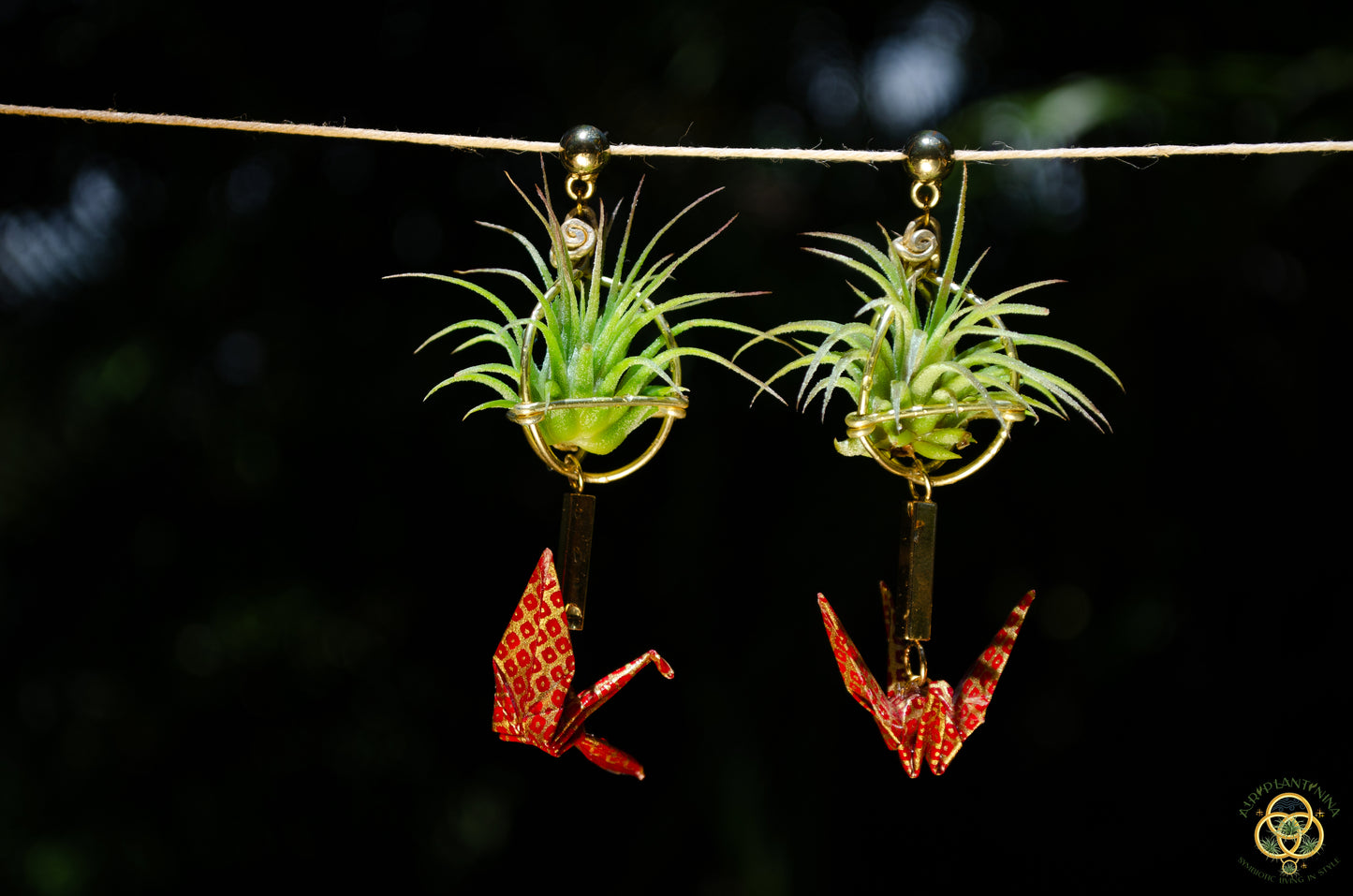 Living Plant Origami Crane Earrings