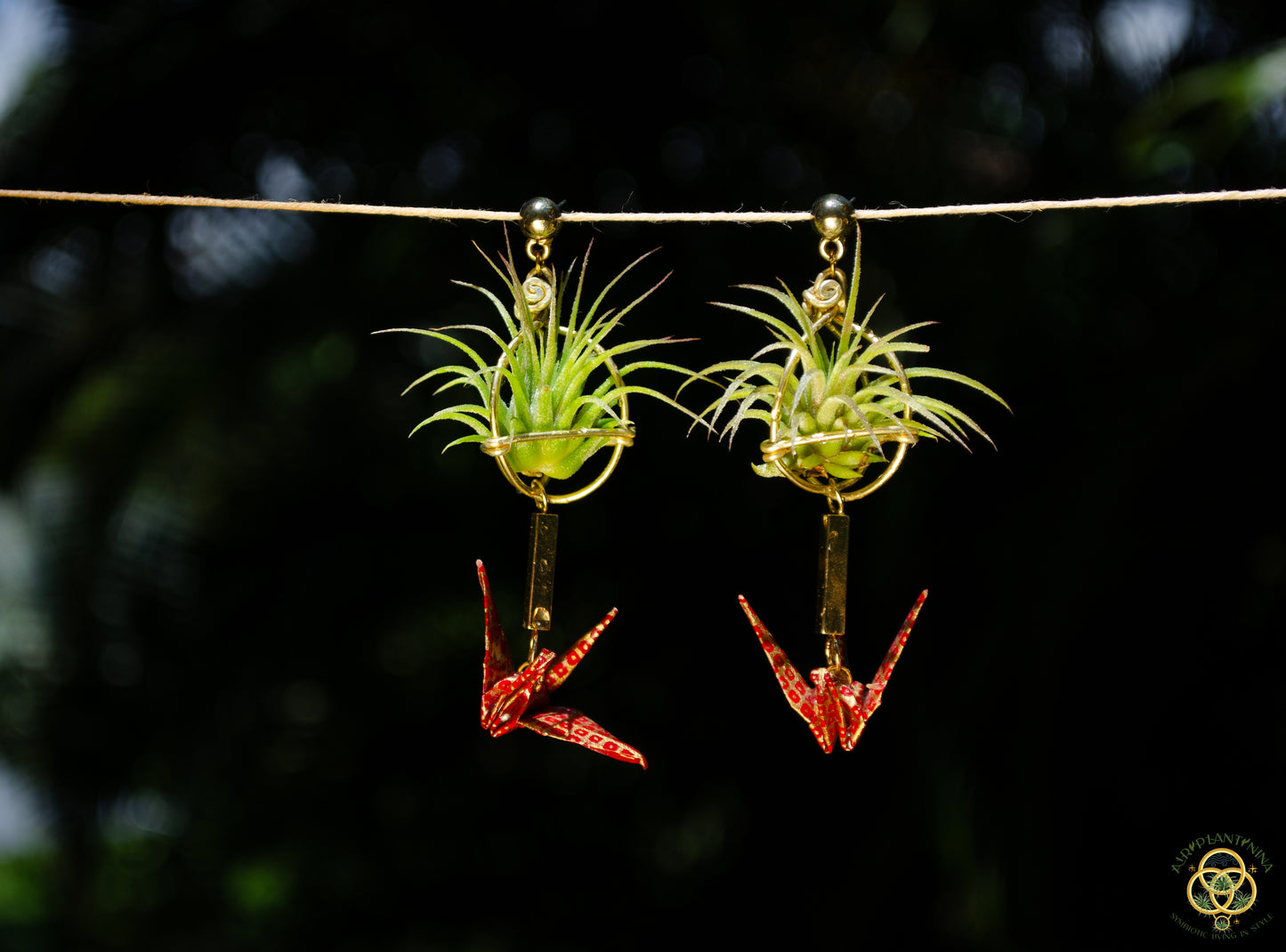Living Plant Origami Crane Earrings