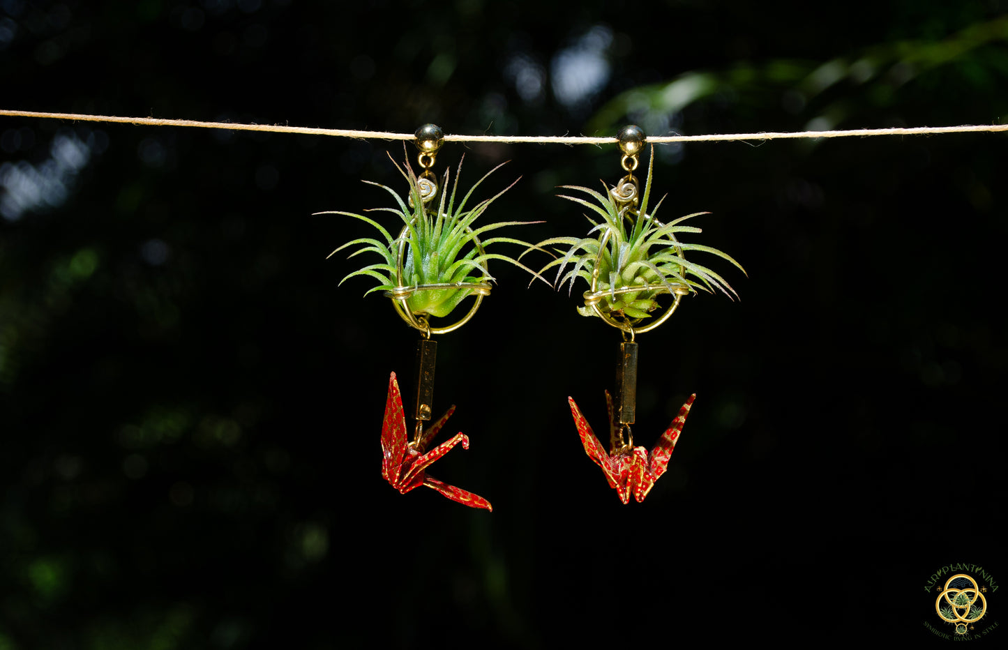 Living Plant Origami Crane Earrings