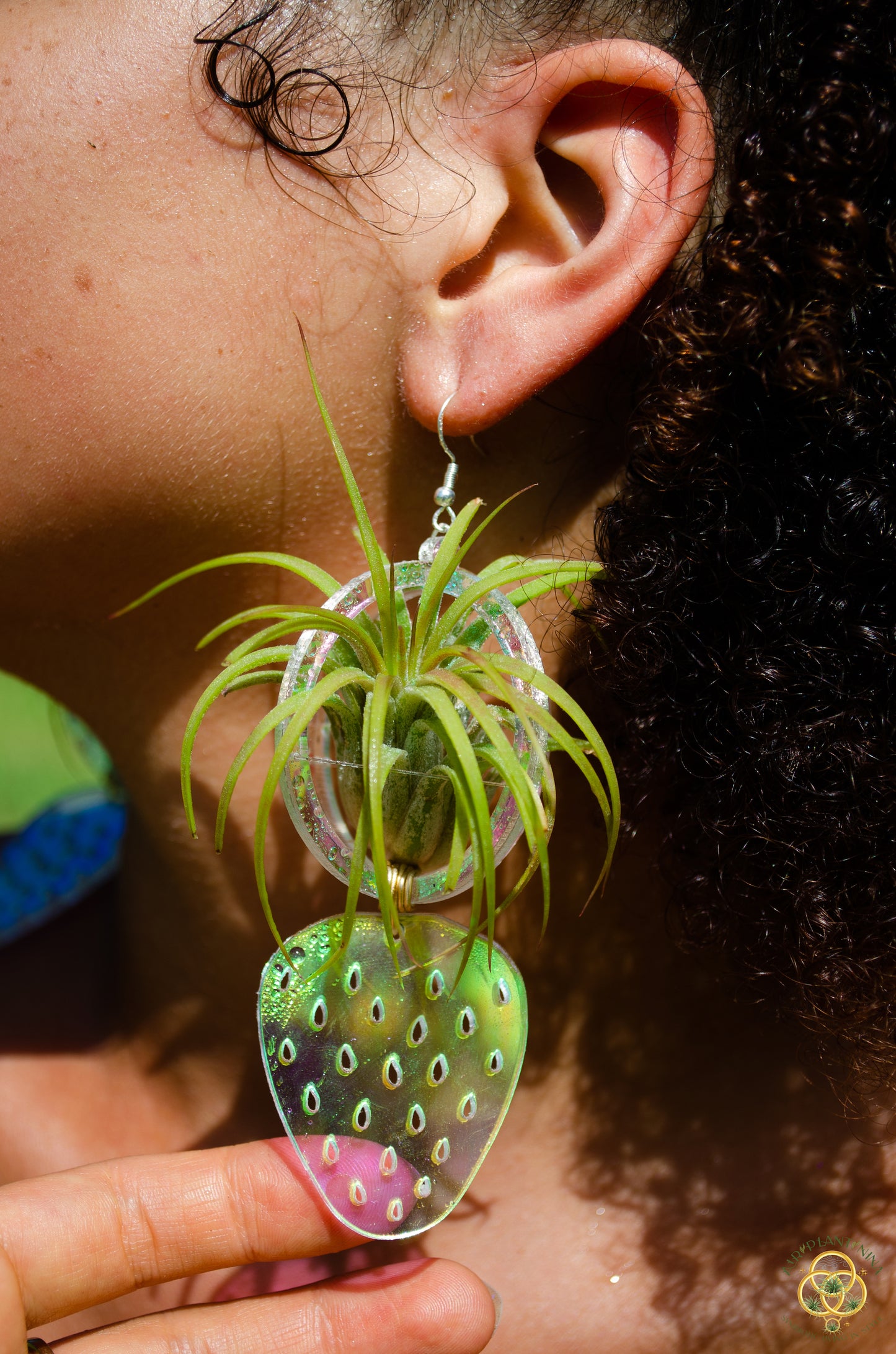 Air Plant Orb Earrings ~ Strawberry ~ Blacklight Holographic ~ Lasercut Original Design