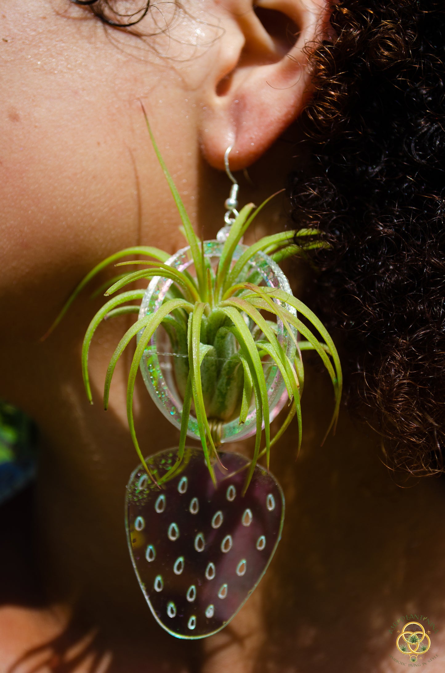 Air Plant Orb Earrings ~ Strawberry ~ Blacklight Holographic ~ Lasercut Original Design