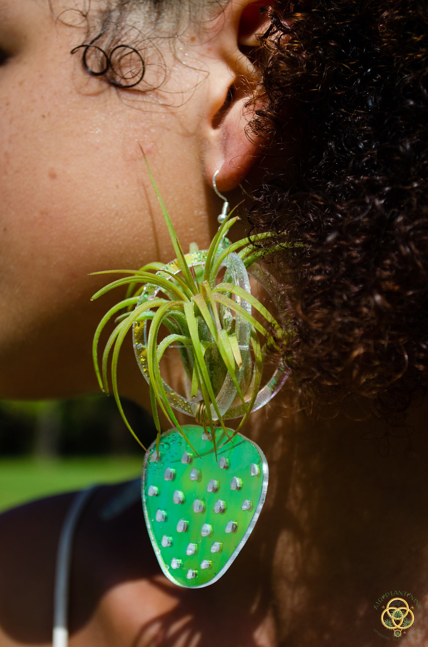 Air Plant Orb Earrings ~ Strawberry ~ Blacklight Holographic ~ Lasercut Original Design