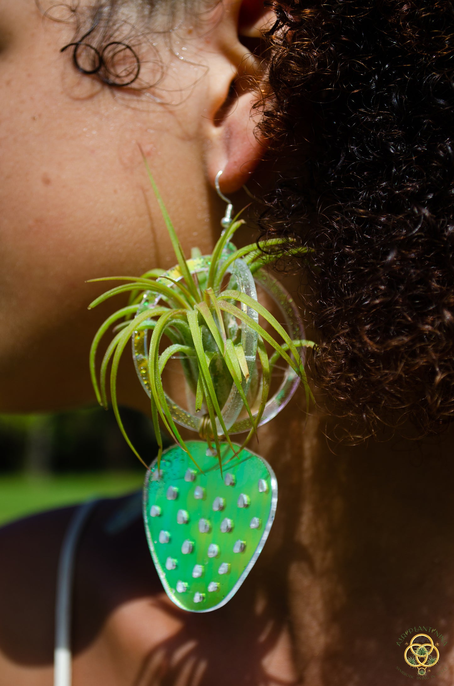 Air Plant Orb Earrings ~ Strawberry ~ Blacklight Holographic ~ Lasercut Original Design