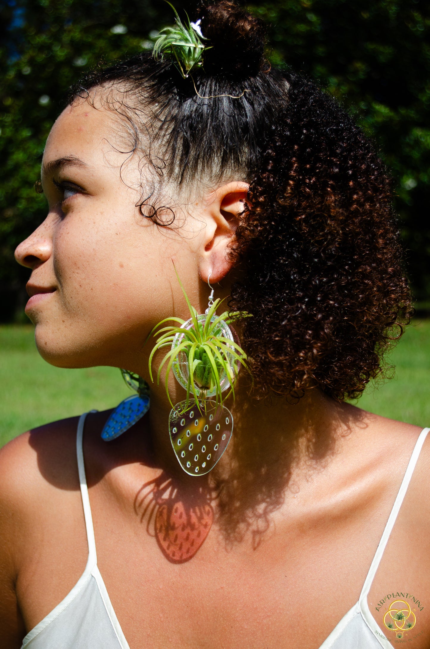 Air Plant Orb Earrings ~ Strawberry ~ Blacklight Holographic ~ Lasercut Original Design
