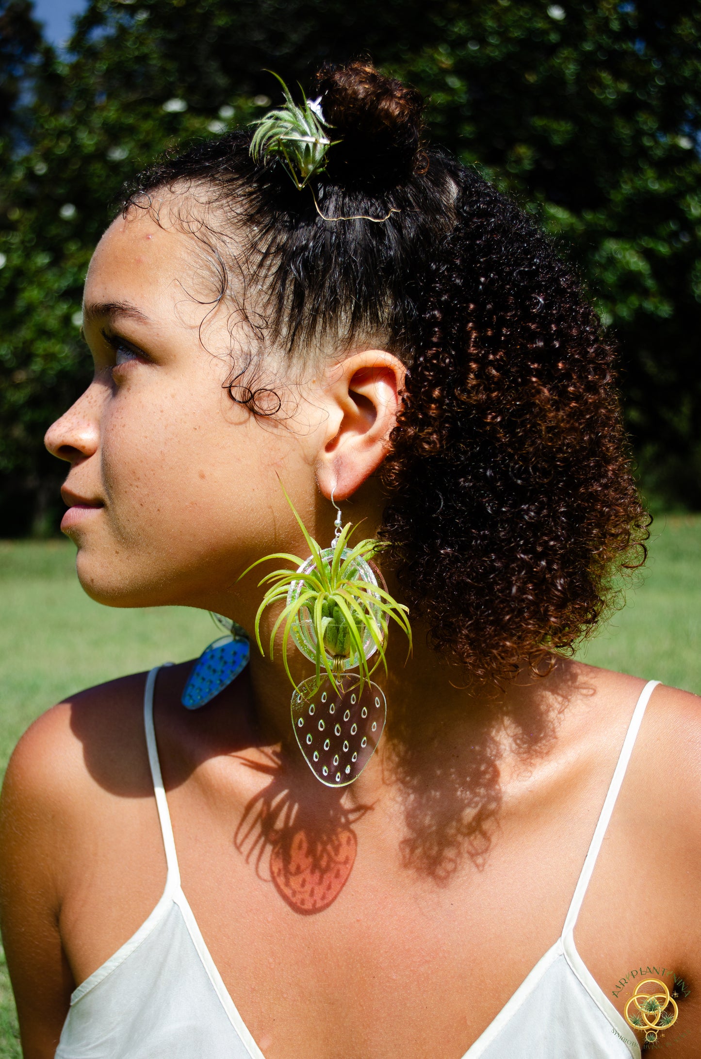 Air Plant Orb Earrings ~ Strawberry ~ Blacklight Holographic ~ Lasercut Original Design