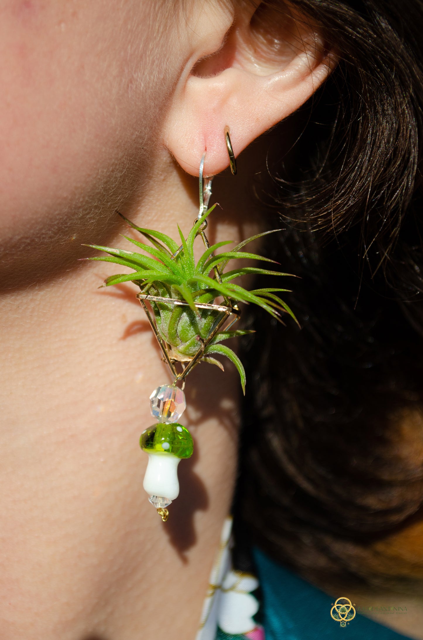 Glass Mushroom Air Plant Earrings ~ Diamond Octahedron Earrings