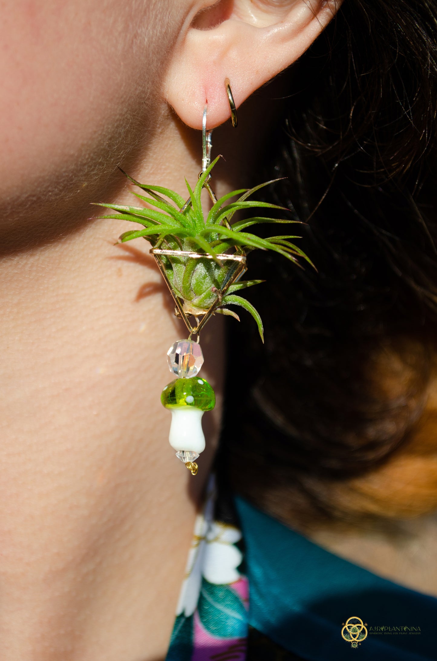 Glass Mushroom Air Plant Earrings ~ Diamond Octahedron Earrings