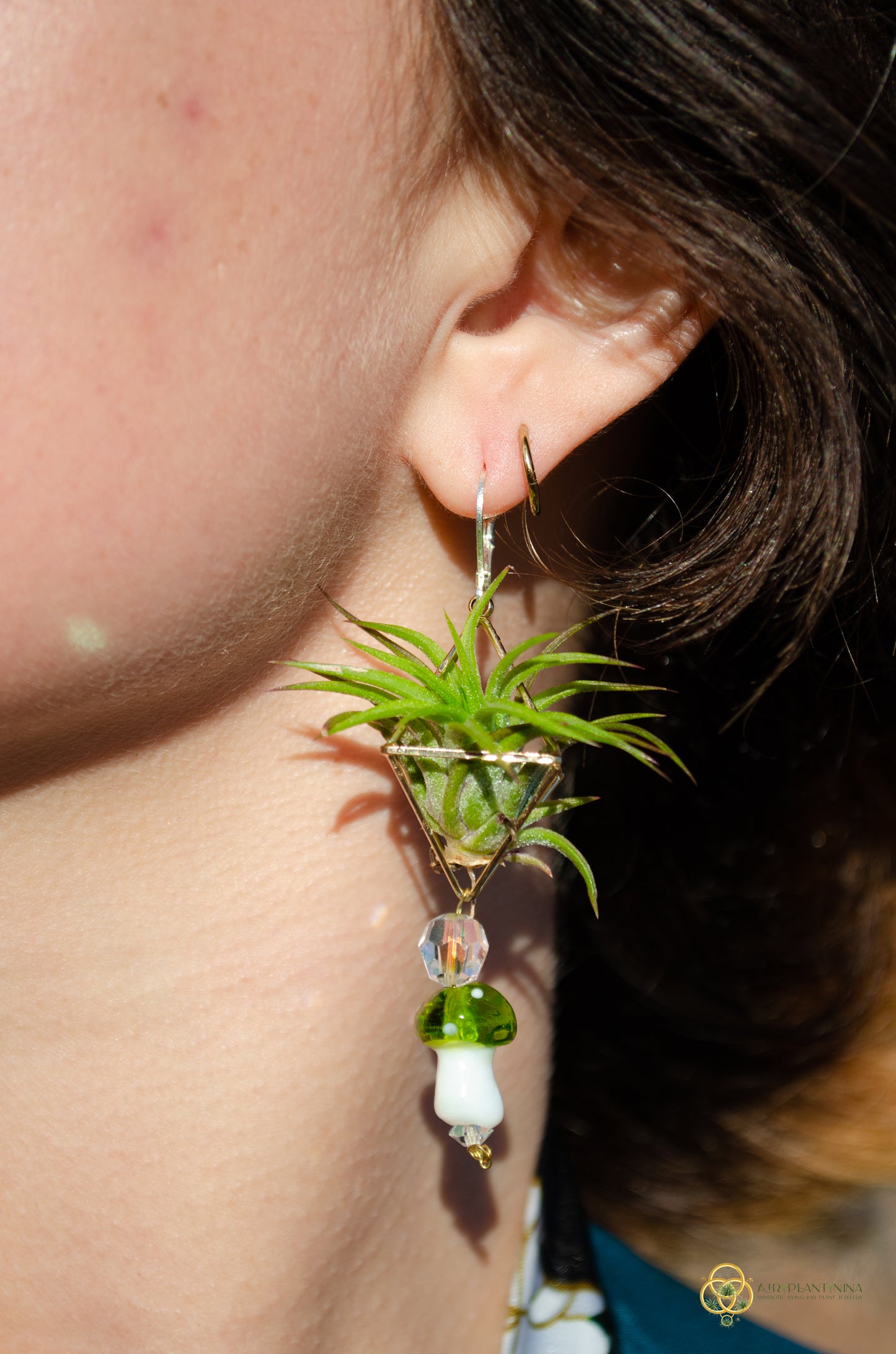 Glass Mushroom Air Plant Earrings ~ Diamond Octahedron Earrings