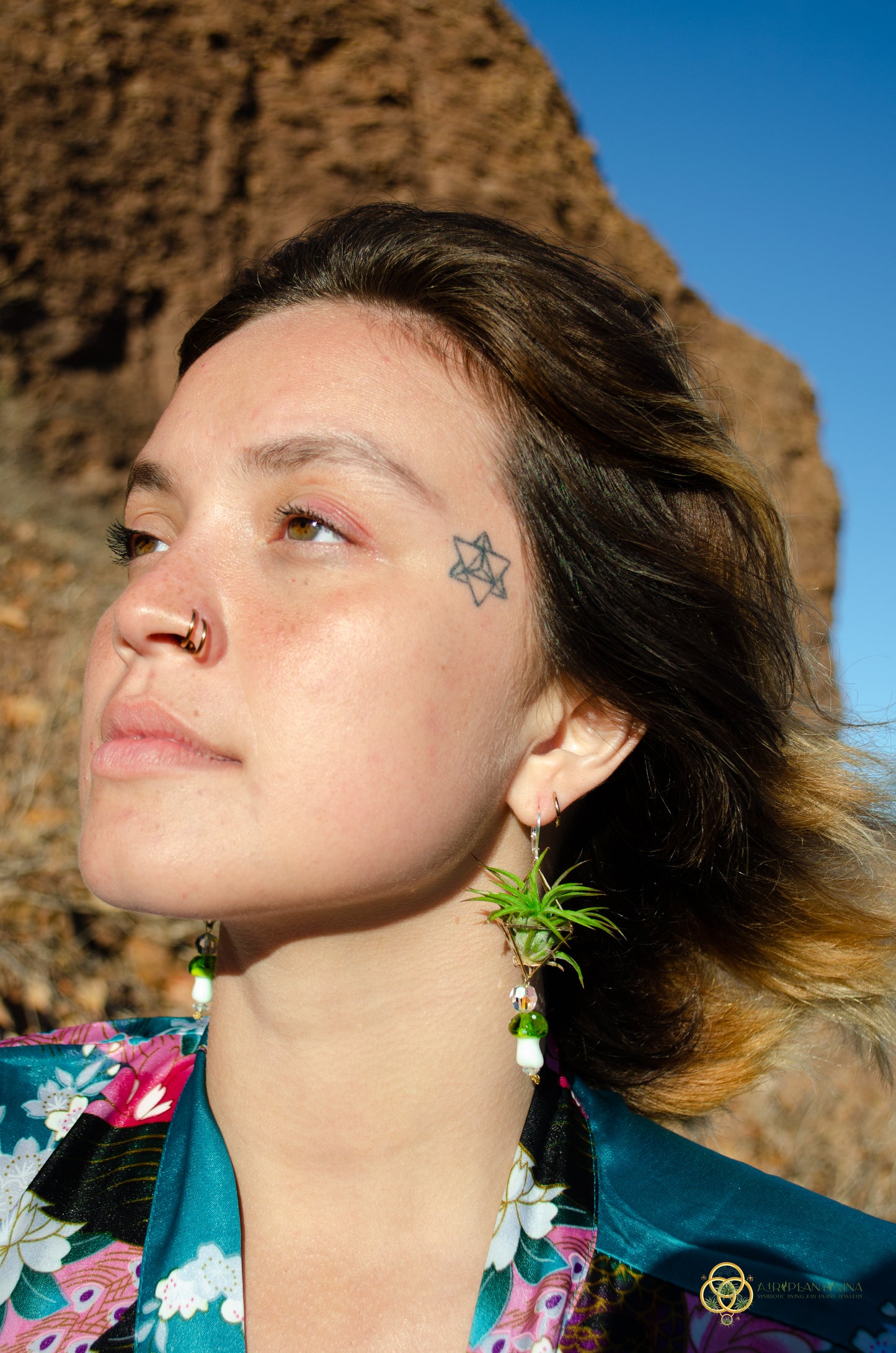 Glass Mushroom Air Plant Earrings ~ Diamond Octahedron Earrings