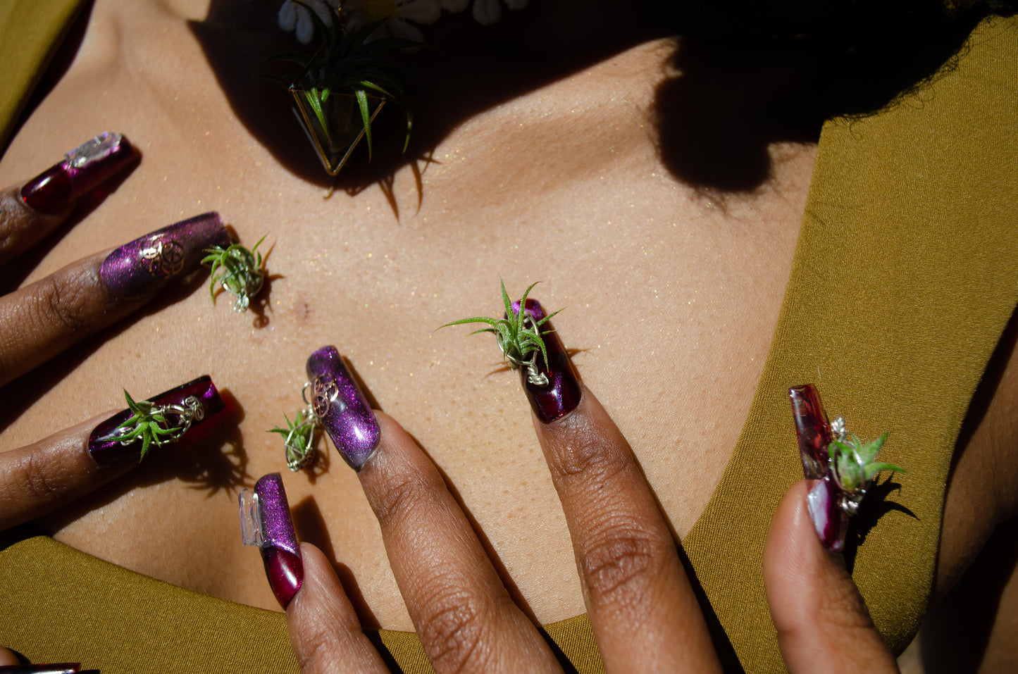 Air Plant Glam Nails ~ Interchangeable in Orbs