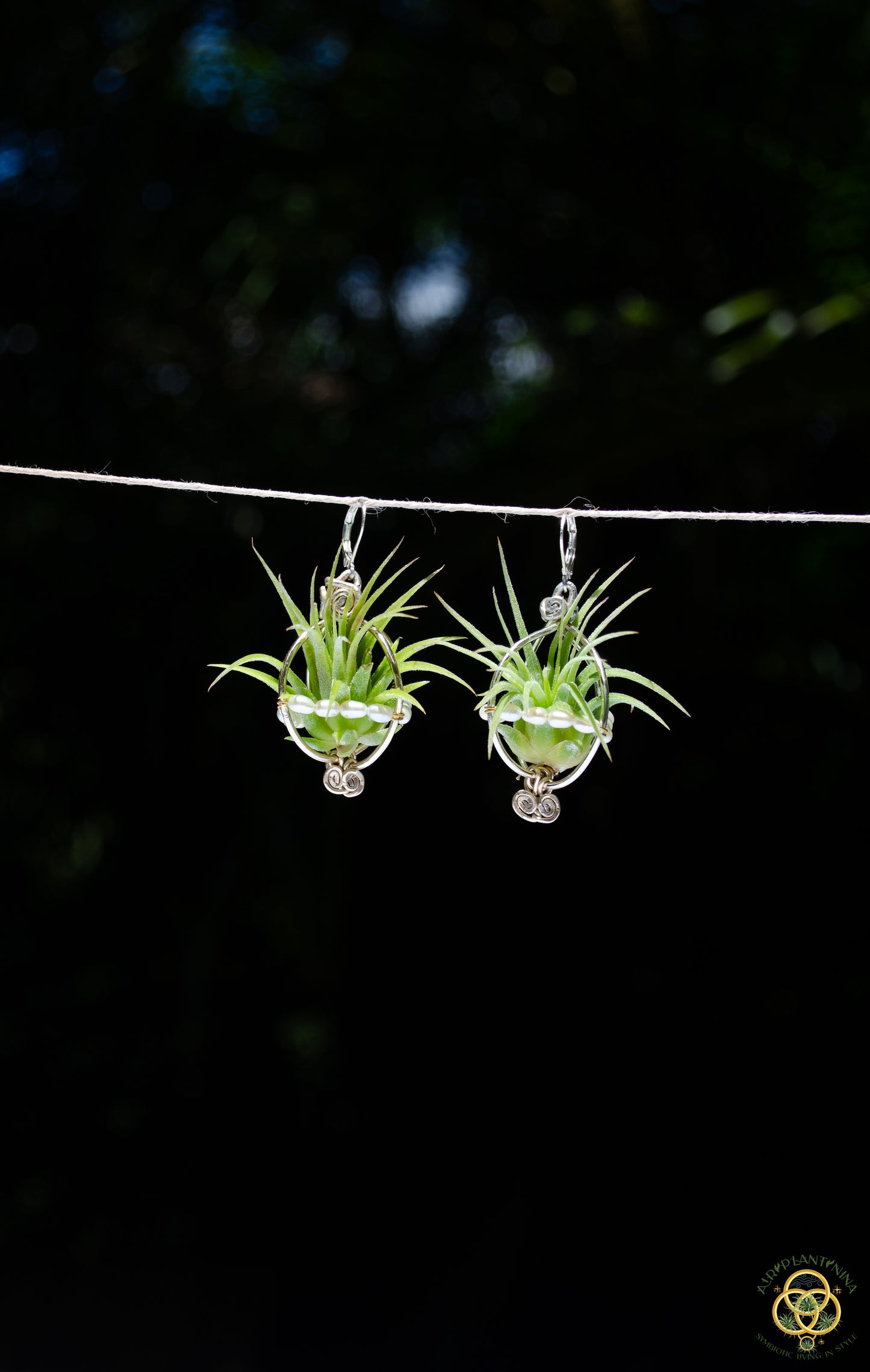 Air Plant Pearl Lined Orb Carriage Earrings
