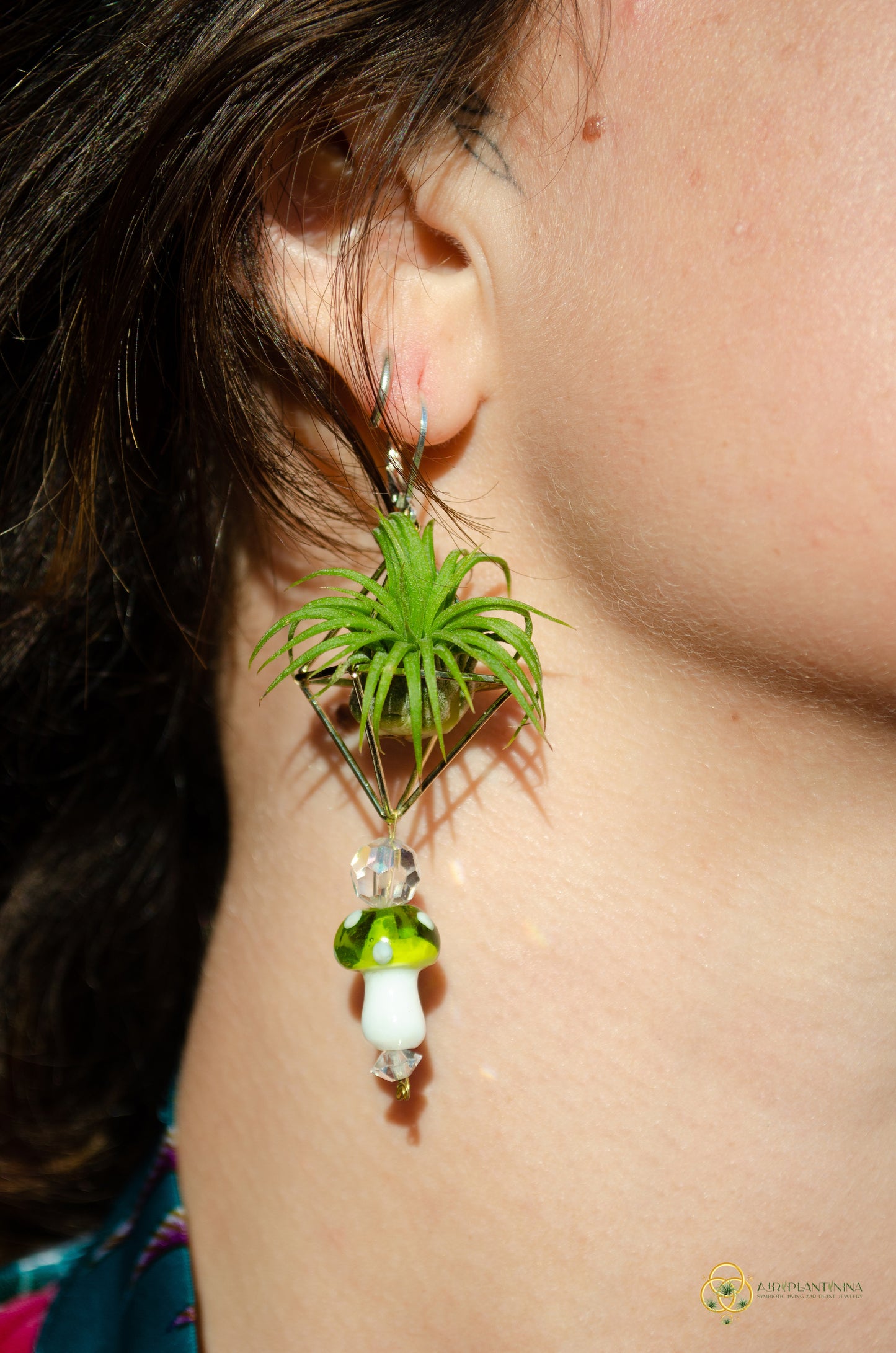 Glass Mushroom Air Plant Earrings ~ Diamond Octahedron Earrings