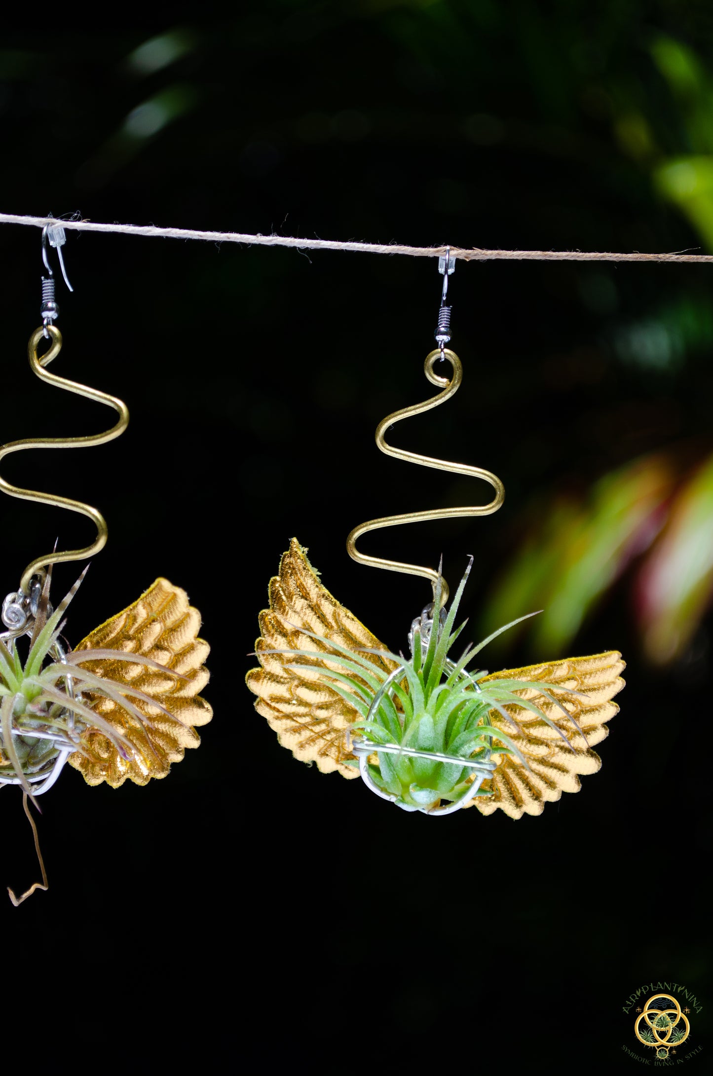 Flying Snitch Air Plant Orb Earrings