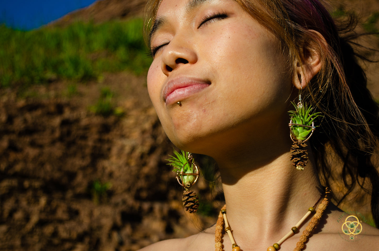 Air Plant Original Orb Earrings