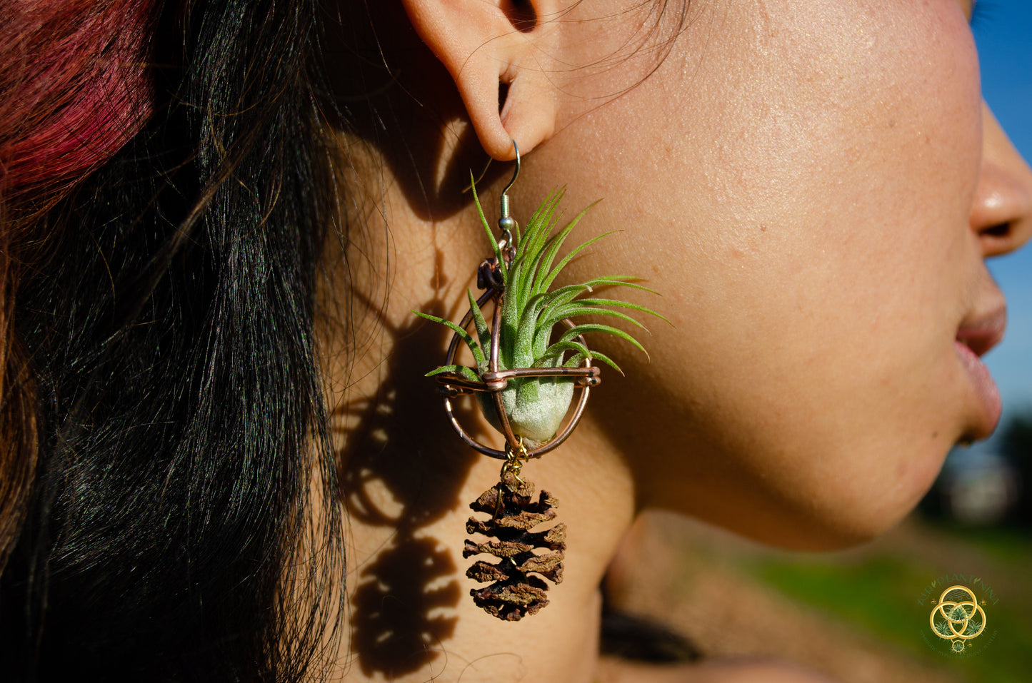 Air Plant Original Orb Earrings