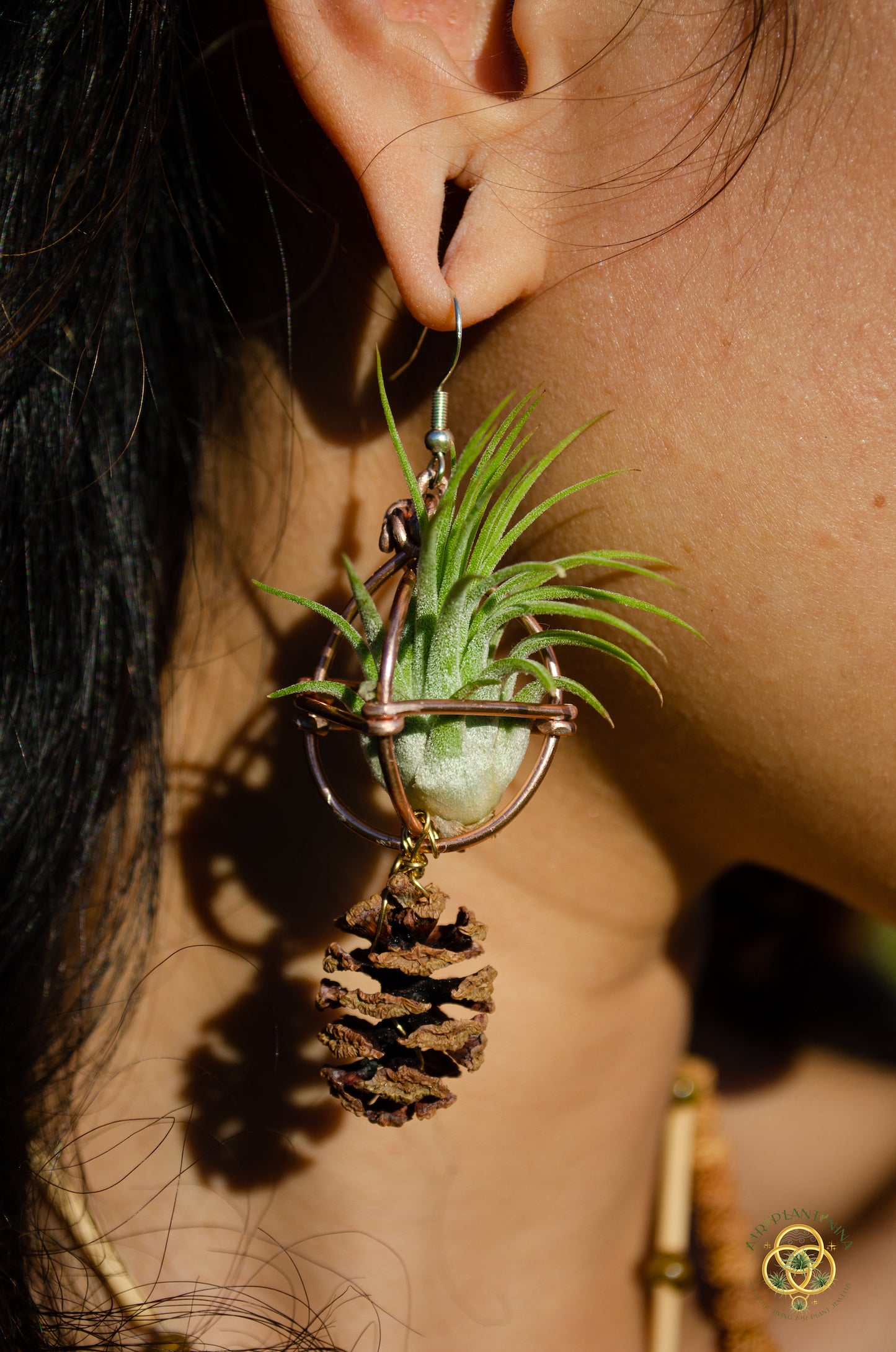 Air Plant Original Orb Earrings
