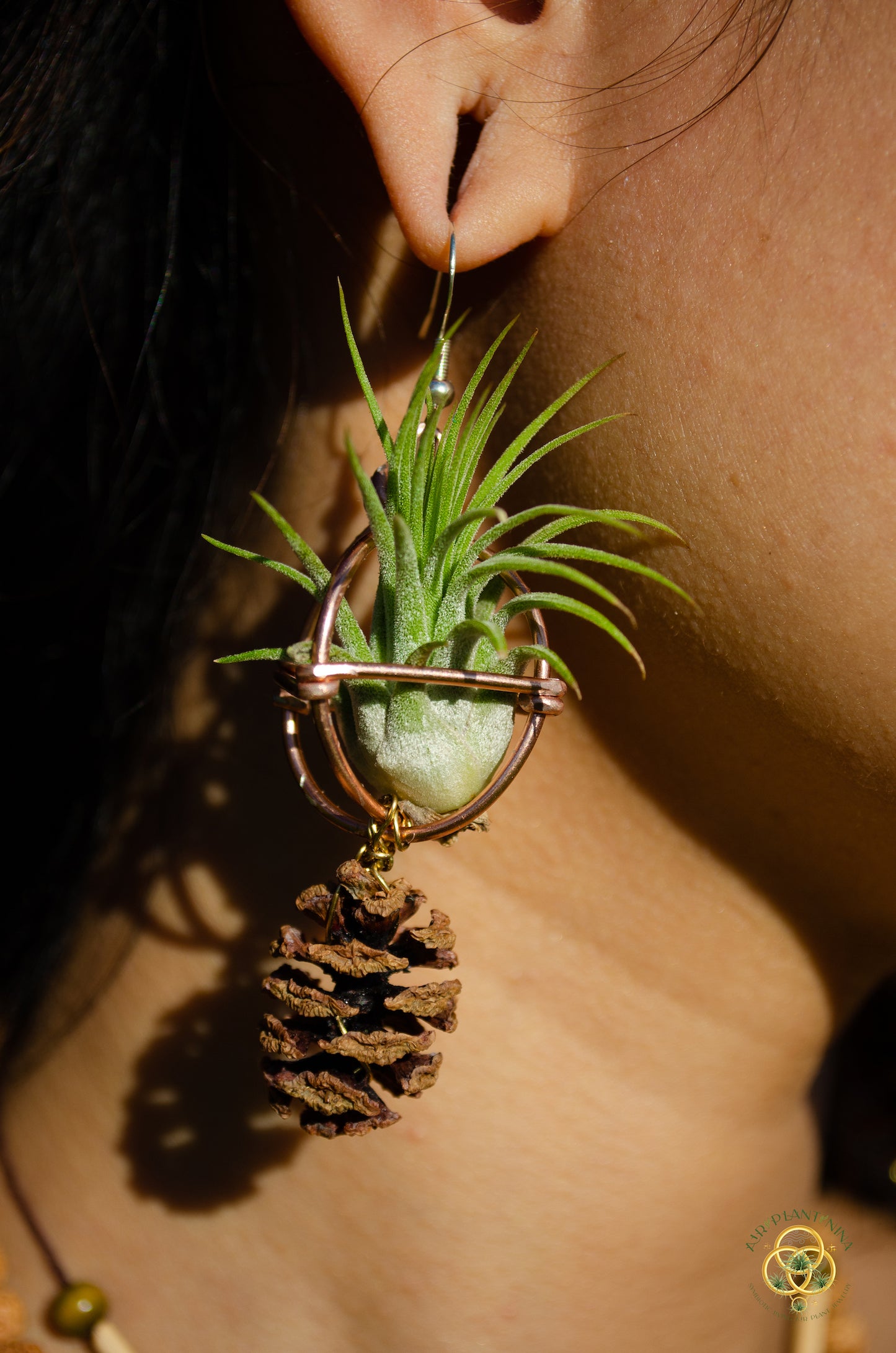 Air Plant Original Orb Earrings