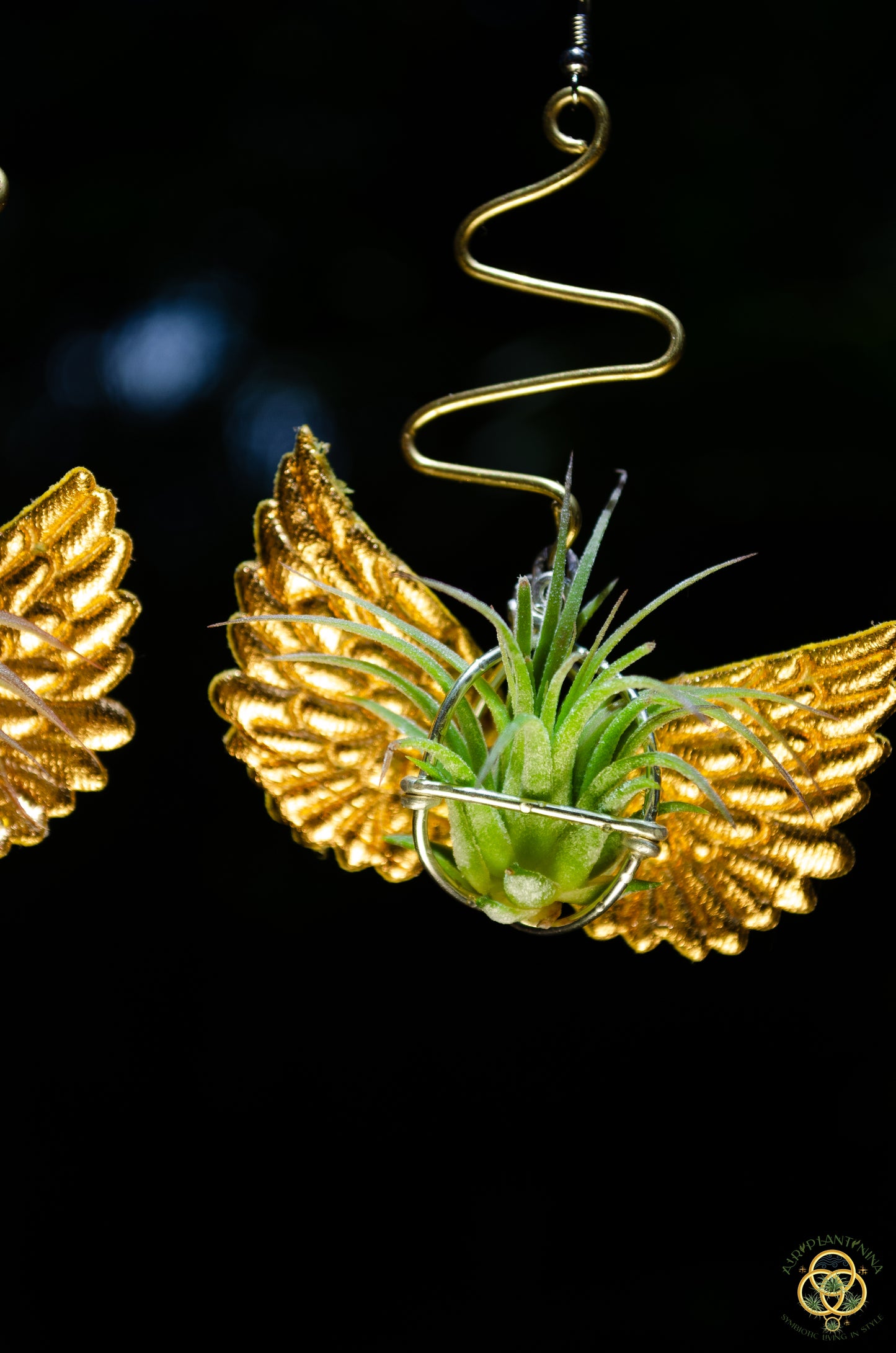 Flying Snitch Air Plant Orb Earrings
