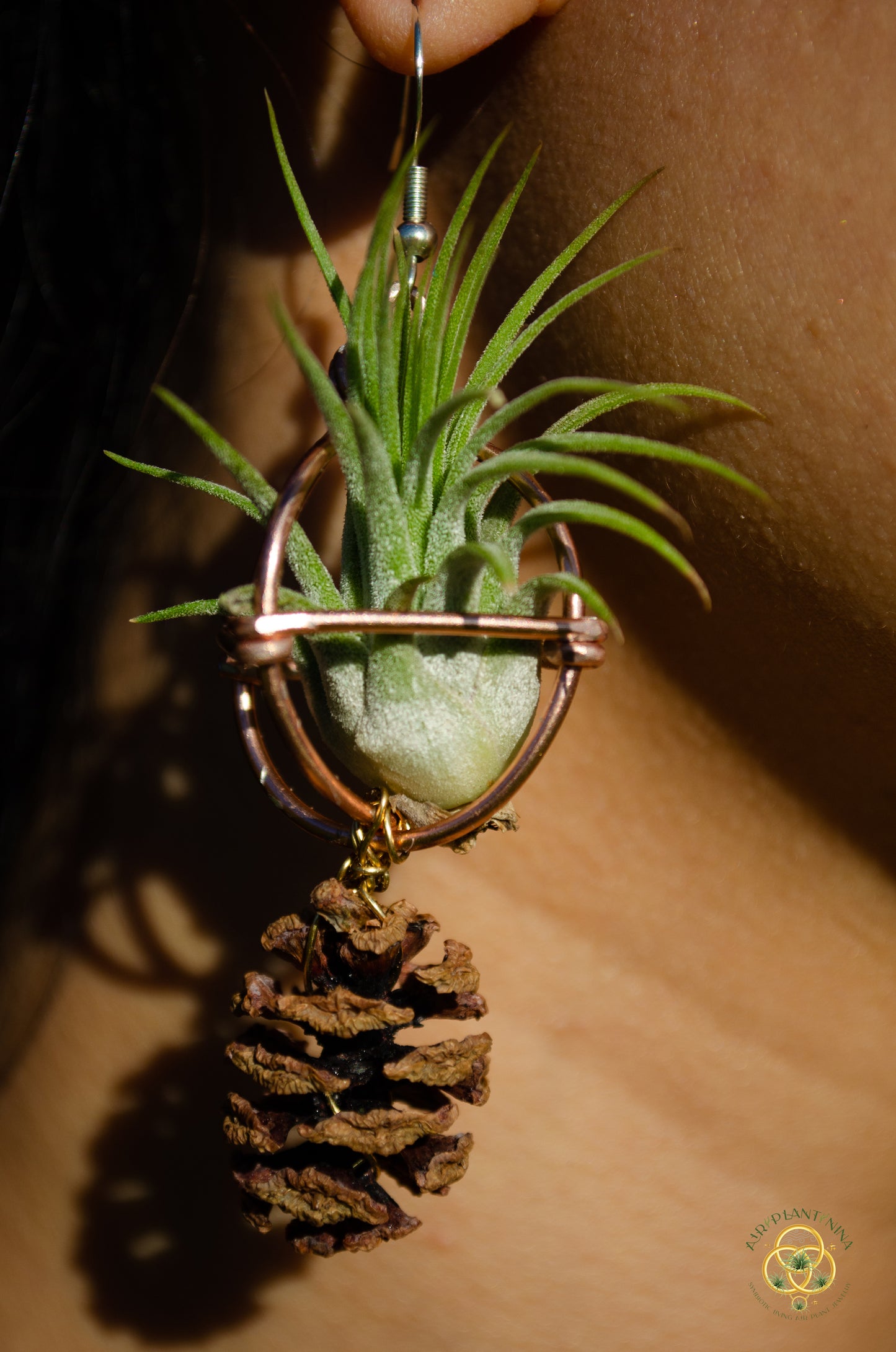 Air Plant Original Orb Earrings