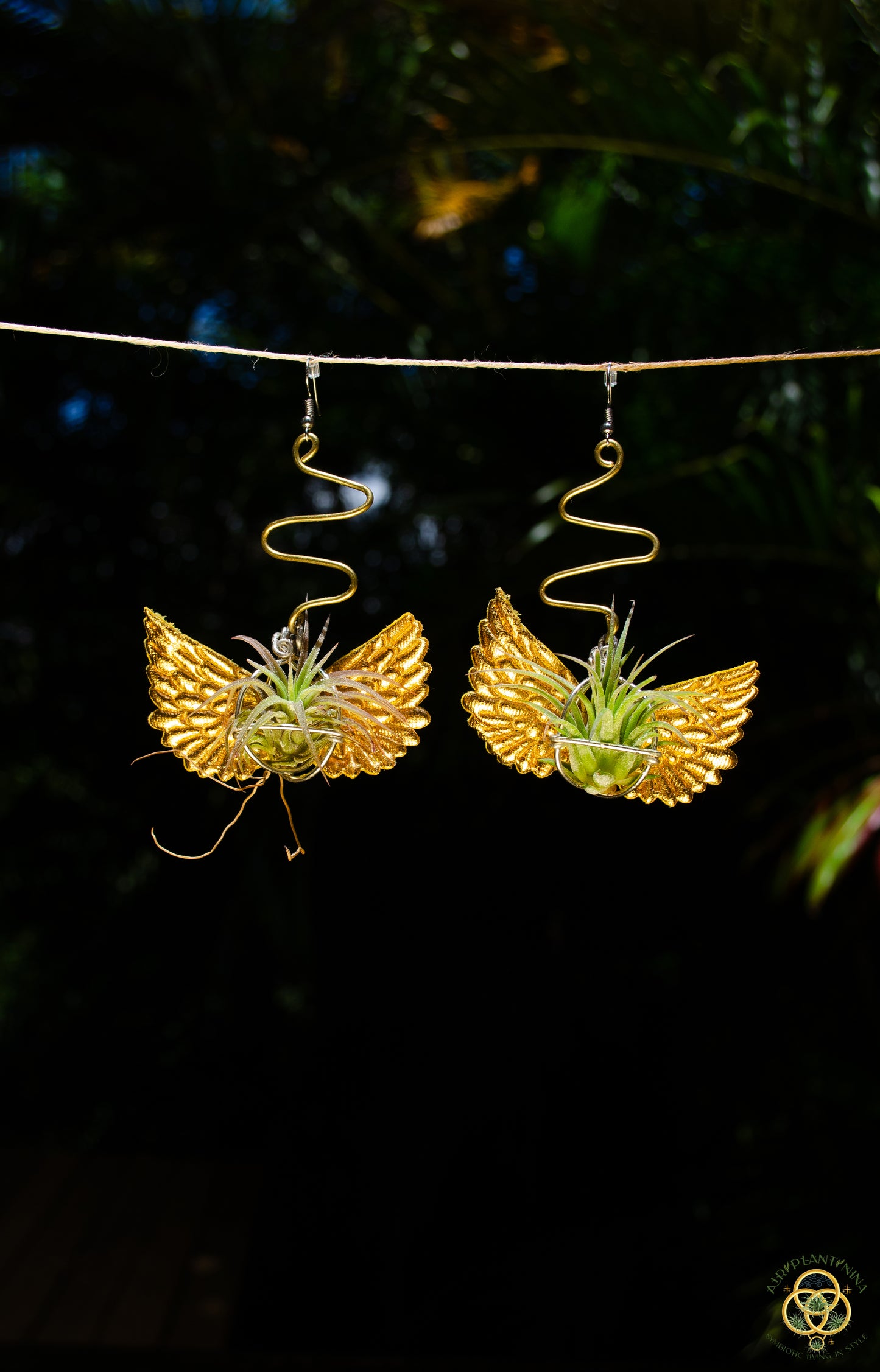 Flying Snitch Air Plant Orb Earrings