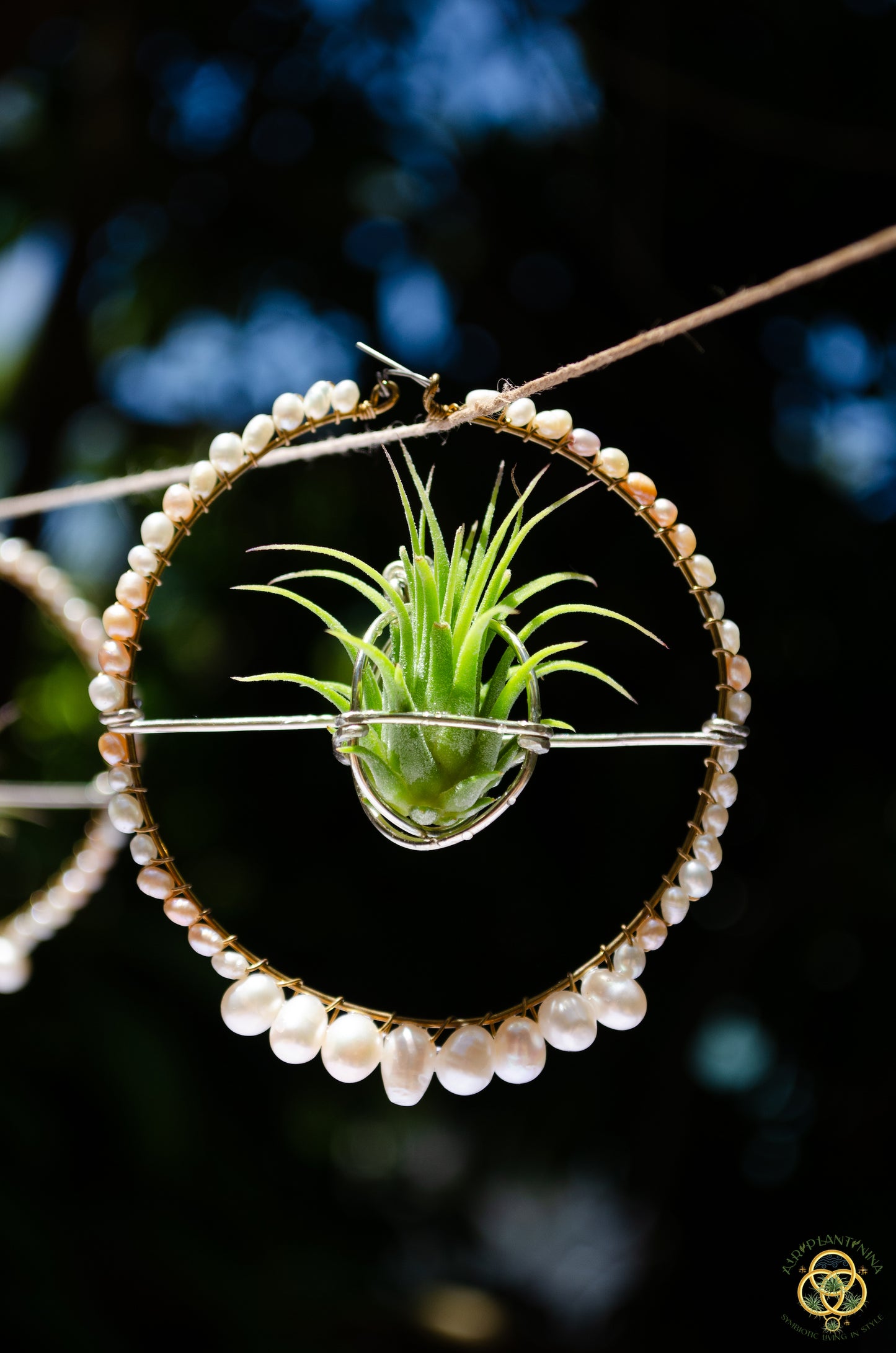 Air Plant Pearl Hoop Earrings