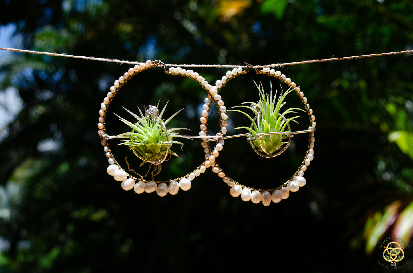 Air Plant Pearl Hoop Earrings