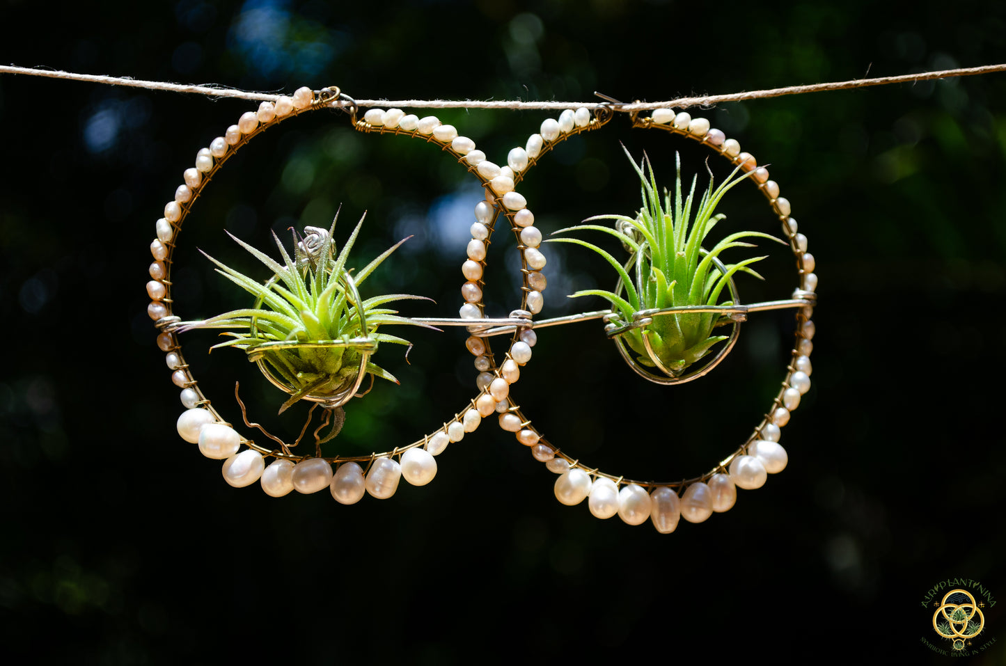 Air Plant Pearl Hoop Earrings
