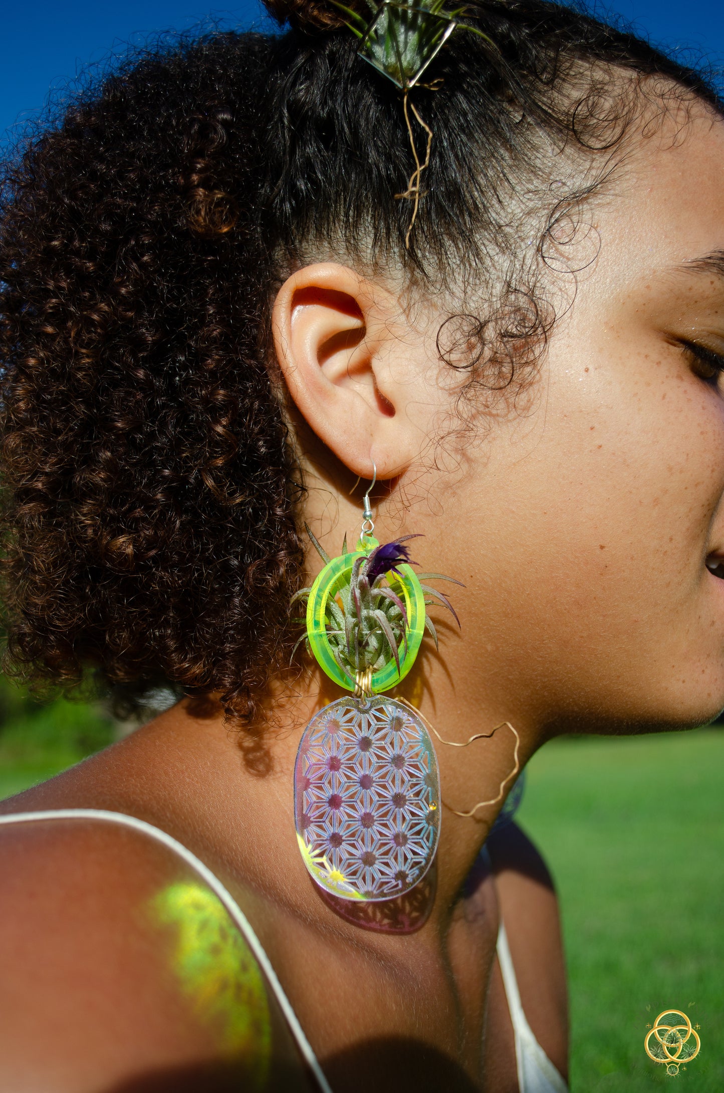 Air Plant Orb Earrings ~ Strawberry ~ Blacklight Holographic ~ Lasercut Original Design