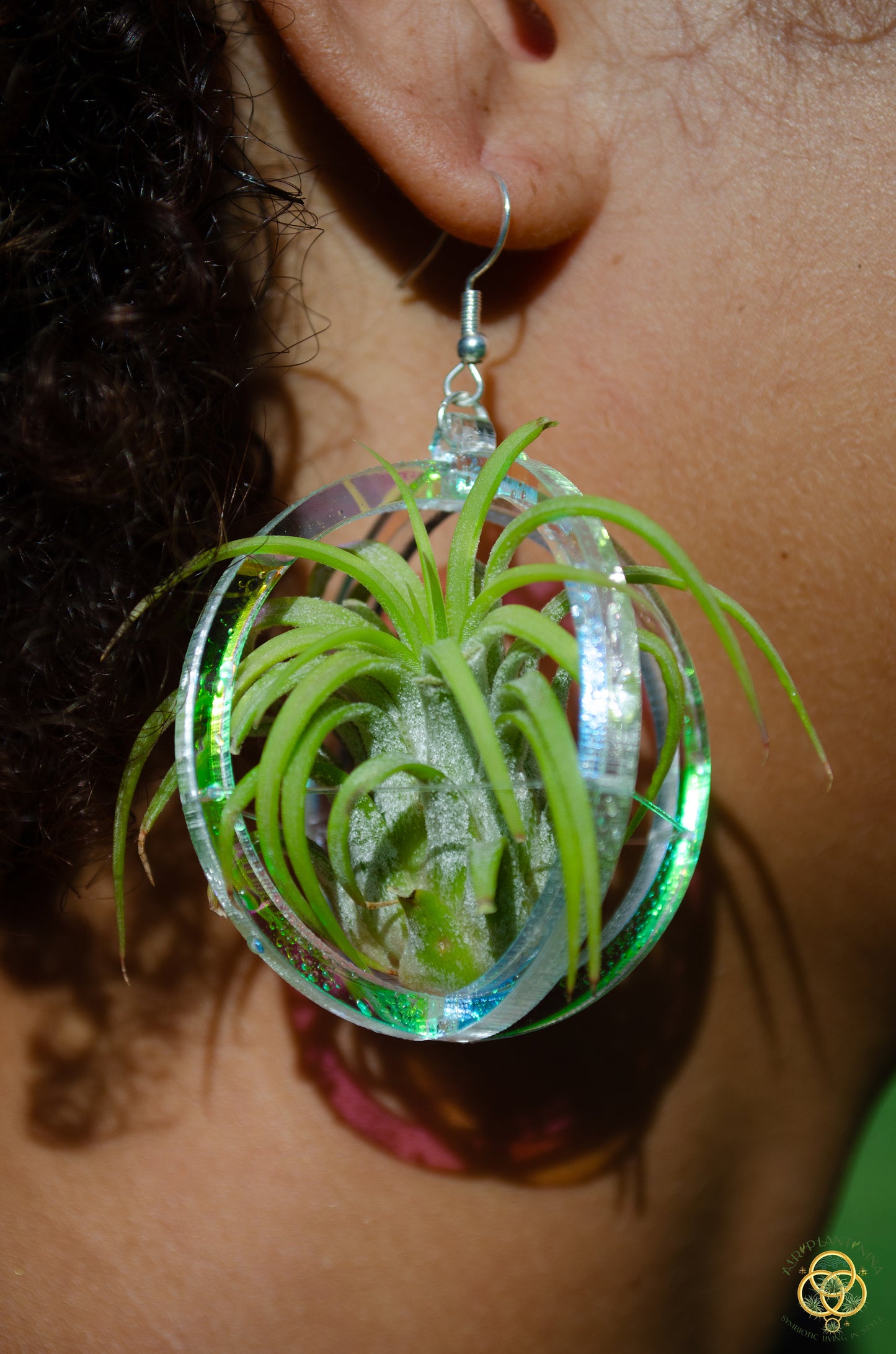 Air Plant Orb Earrings Blacklight Holographic ~ Lasercut Original Design