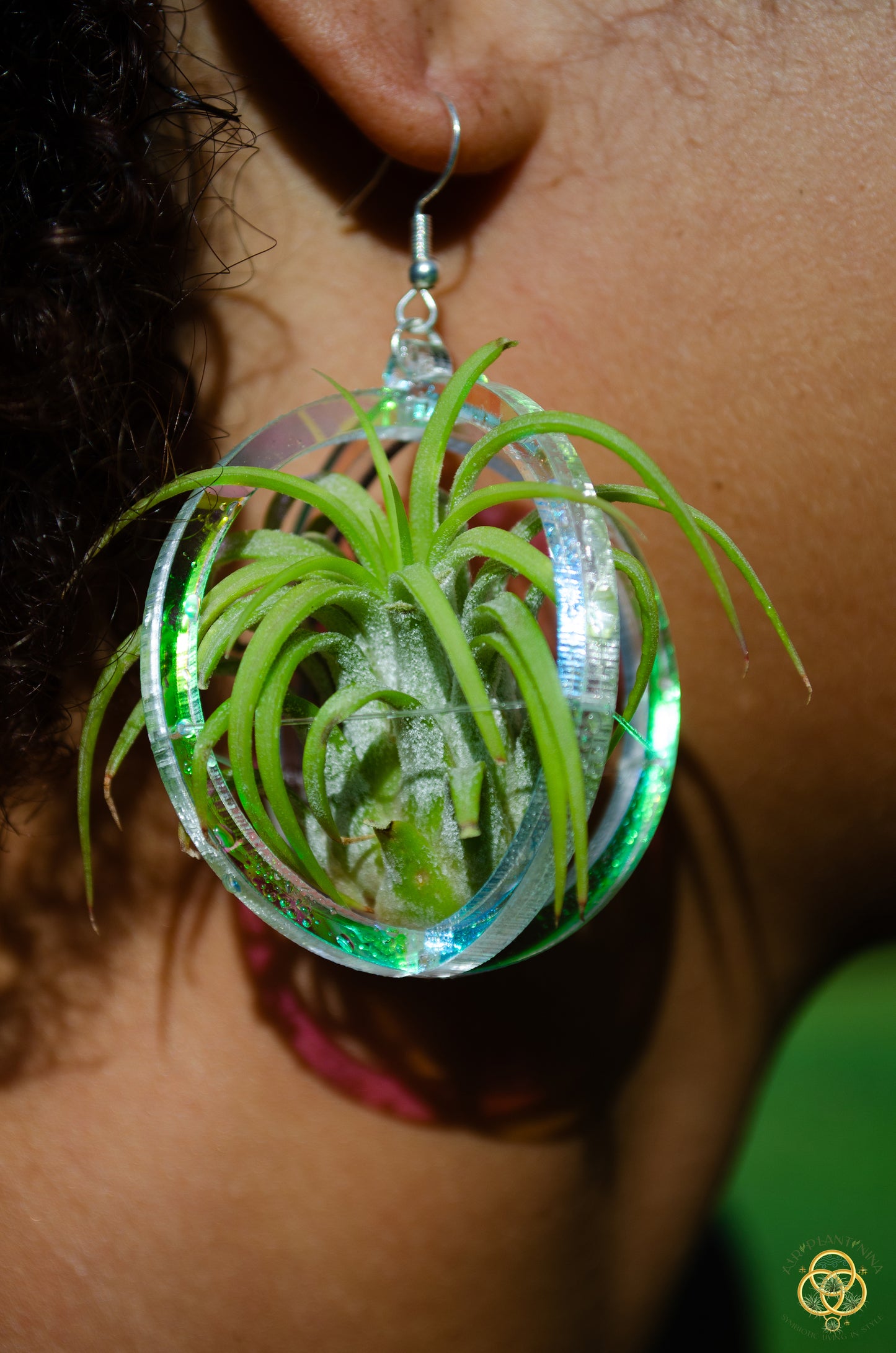 Air Plant Orb Earrings Blacklight Holographic ~ Lasercut Original Design