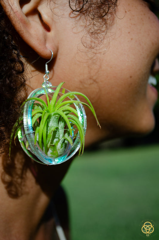 Air Plant Orb Earrings Blacklight Holographic ~ Lasercut Original Design