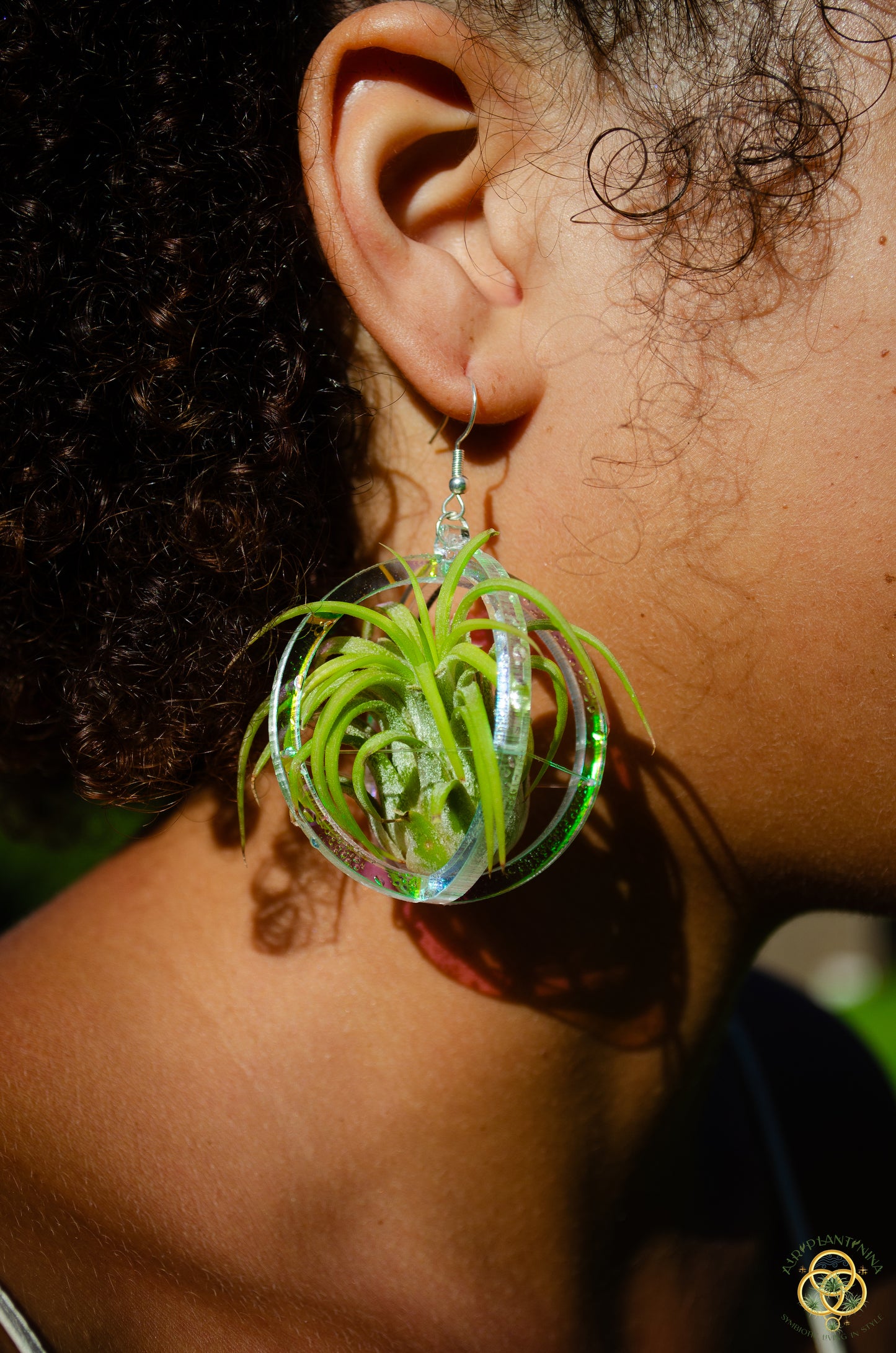 Air Plant Orb Earrings Blacklight Holographic ~ Lasercut Original Design