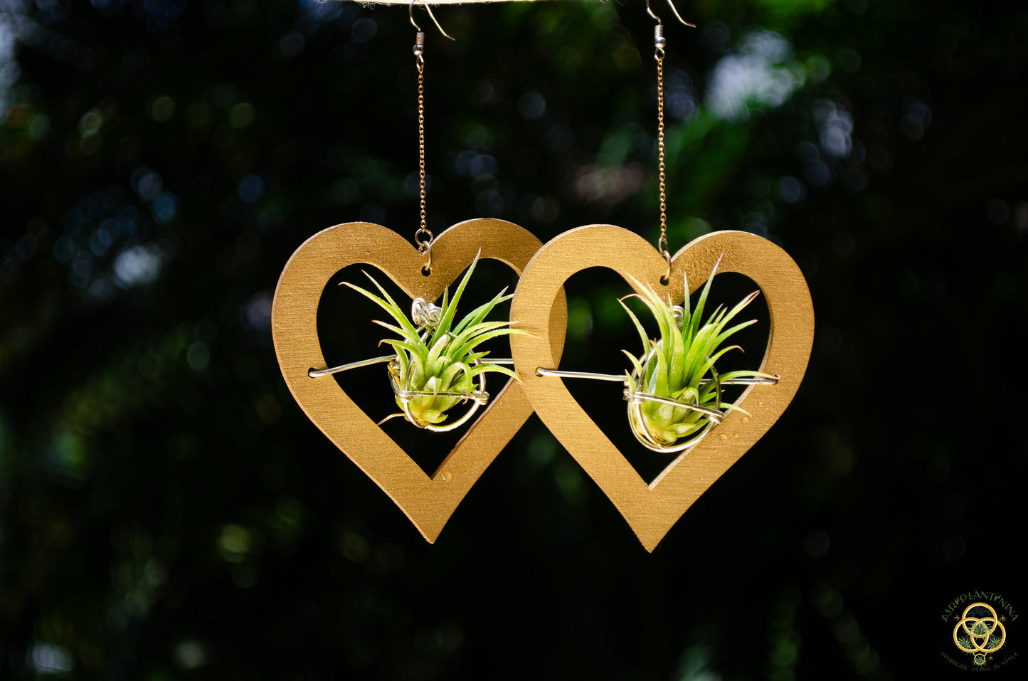 Wood Air Plant Earrings Heart, Moon, Circle, I-Ching Octagon