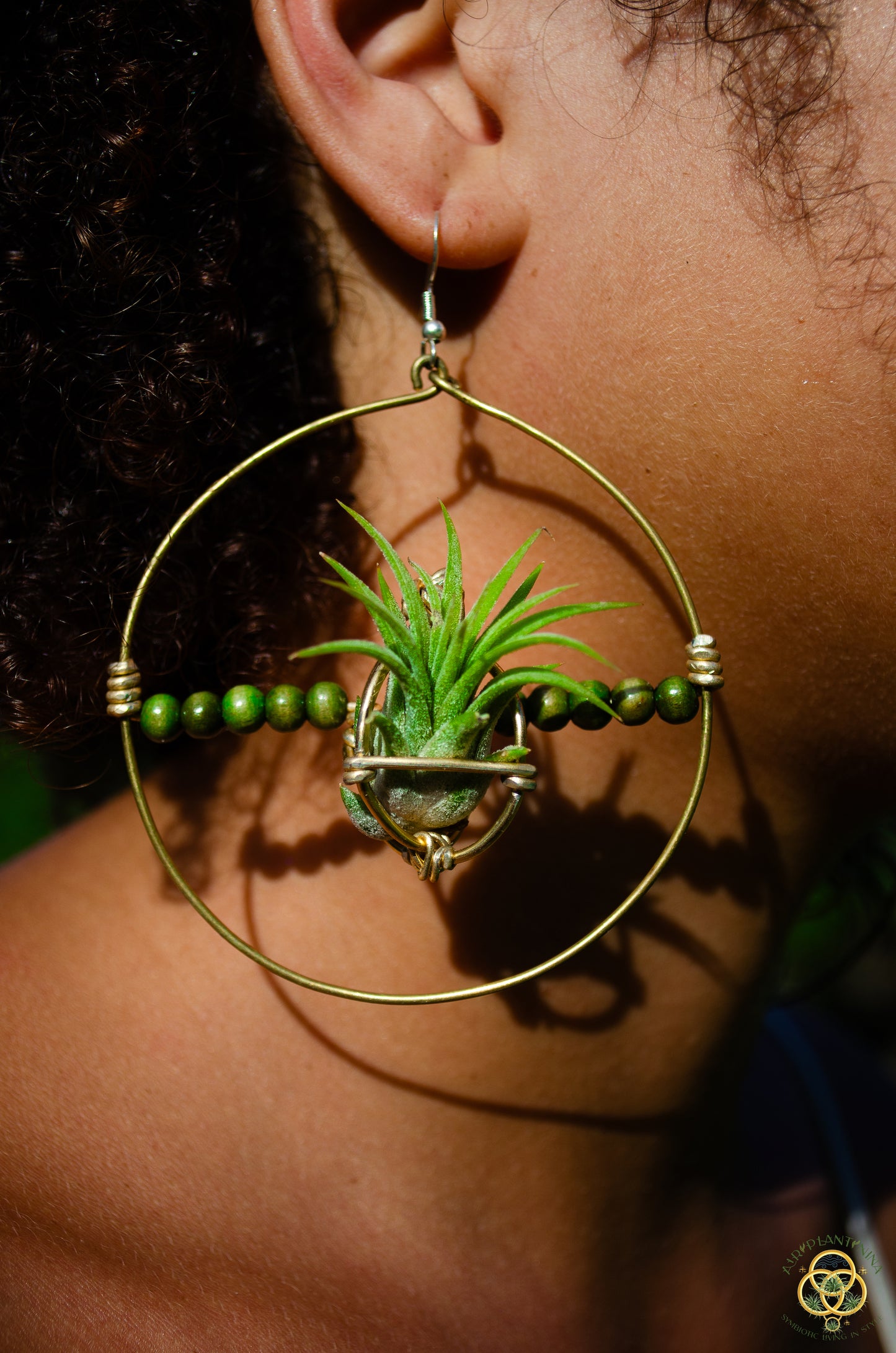 Living Air Plant Living Hoop Earrings