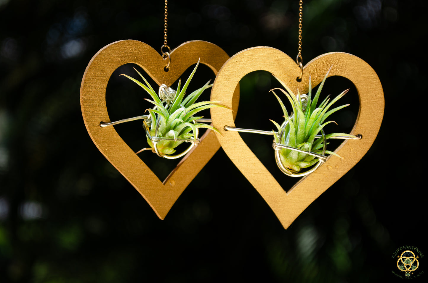 Wood Air Plant Earrings Heart, Moon, Circle, I-Ching Octagon