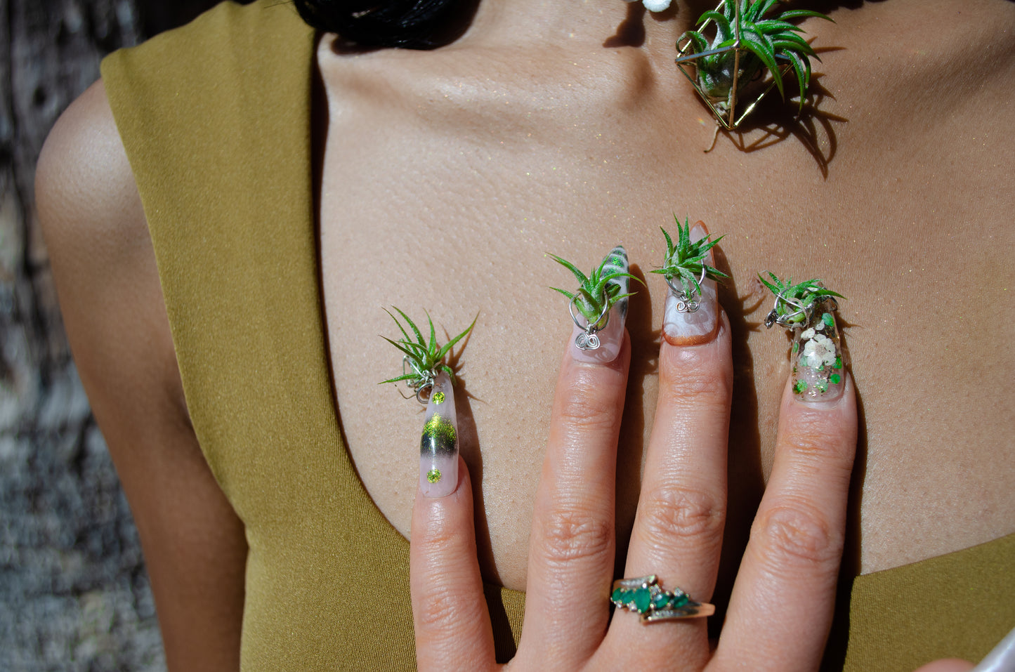 Air Plant Glam Nails ~ Interchangeable in Orbs