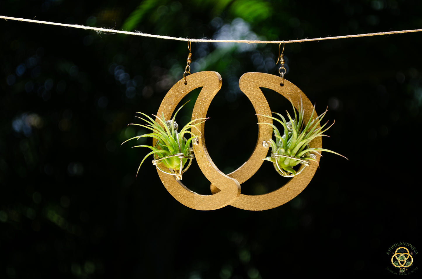 Wood Air Plant Earrings Heart, Moon, Circle, I-Ching Octagon