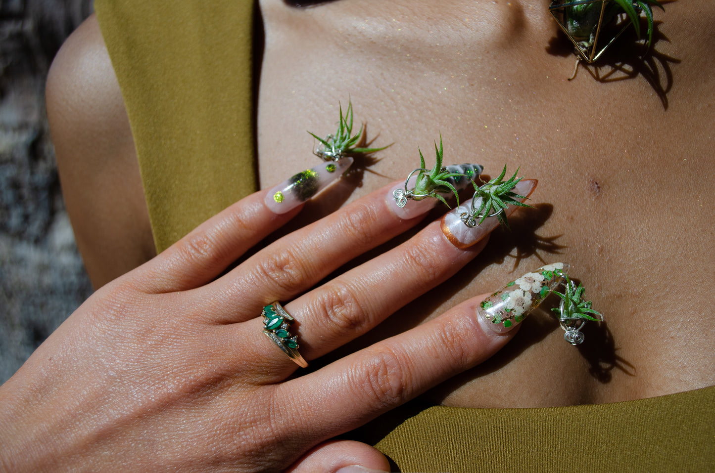 Air Plant Glam Nails ~ Interchangeable in Orbs
