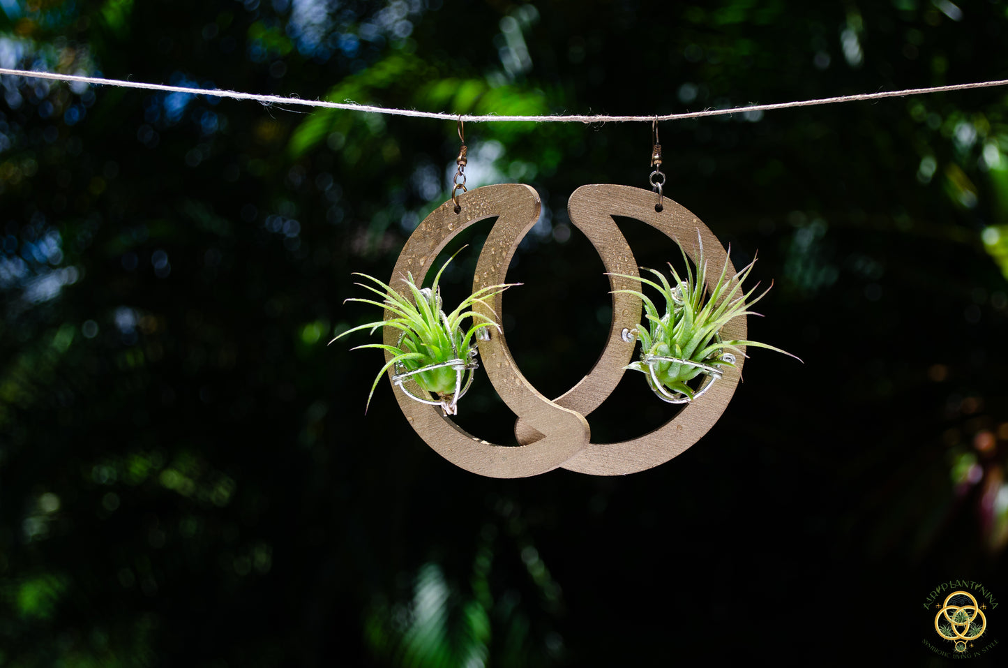 Wood Air Plant Earrings Heart, Moon, Circle, I-Ching Octagon