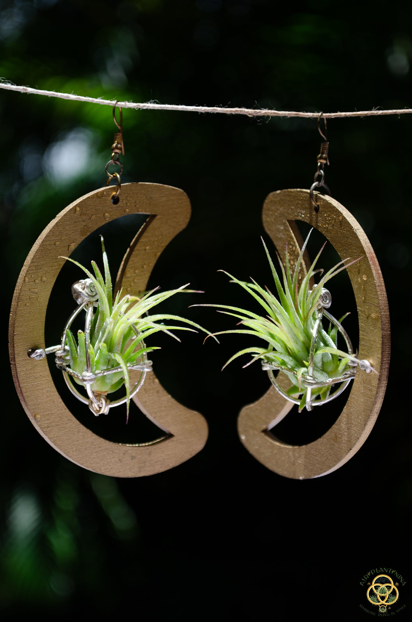 Wood Air Plant Earrings Heart, Moon, Circle, I-Ching Octagon